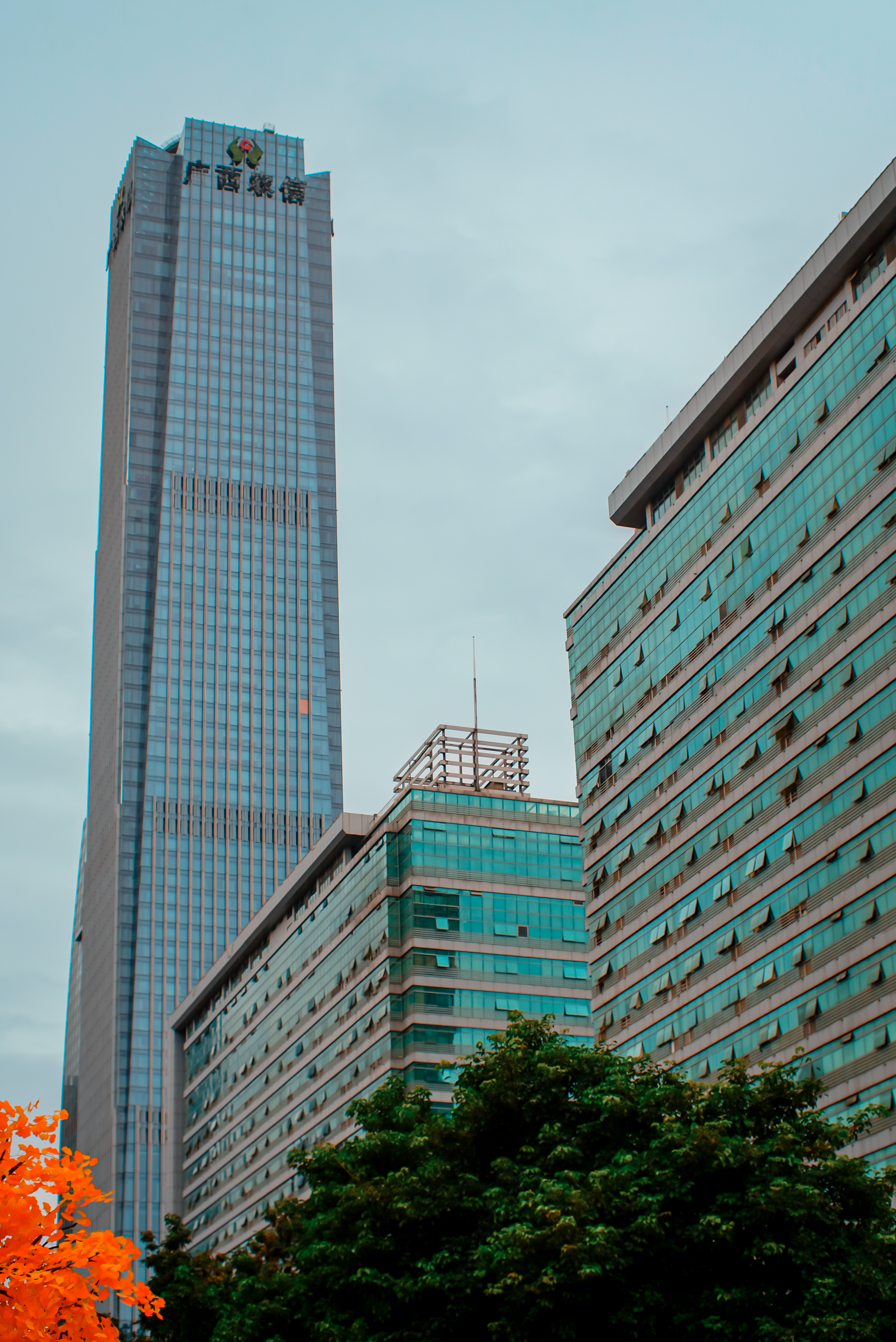 Modern High-Rise Buildings in Asian Cityscape · Free Stock Photo