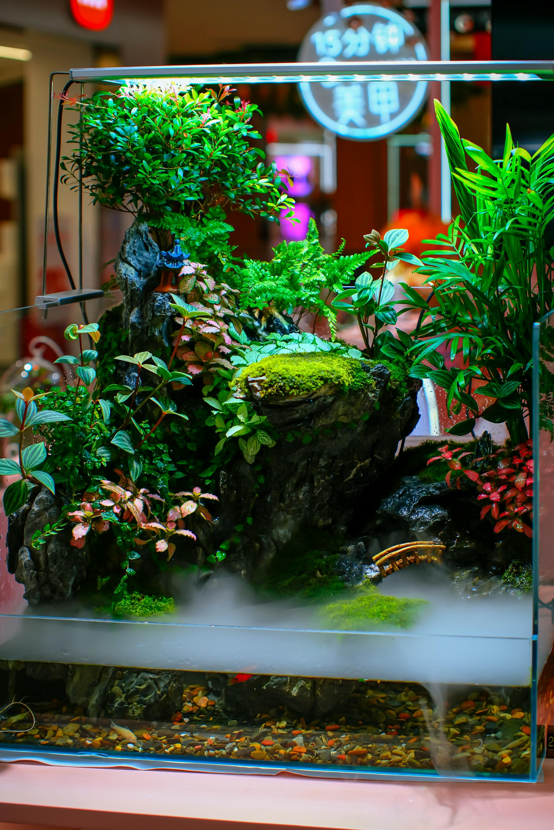 Vibrant indoor aquarium with lush plants and rocks, showcasing a decorative aquatic setup.