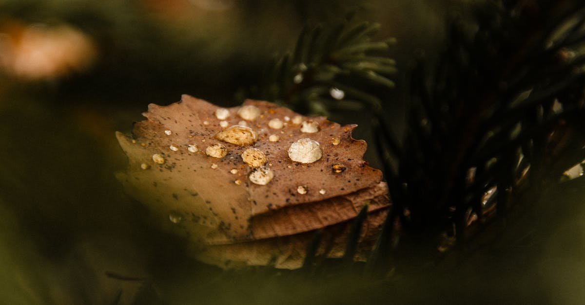 國際:習近平發動稀土戰後 中國APEC地位劇跌犯下重大錯誤