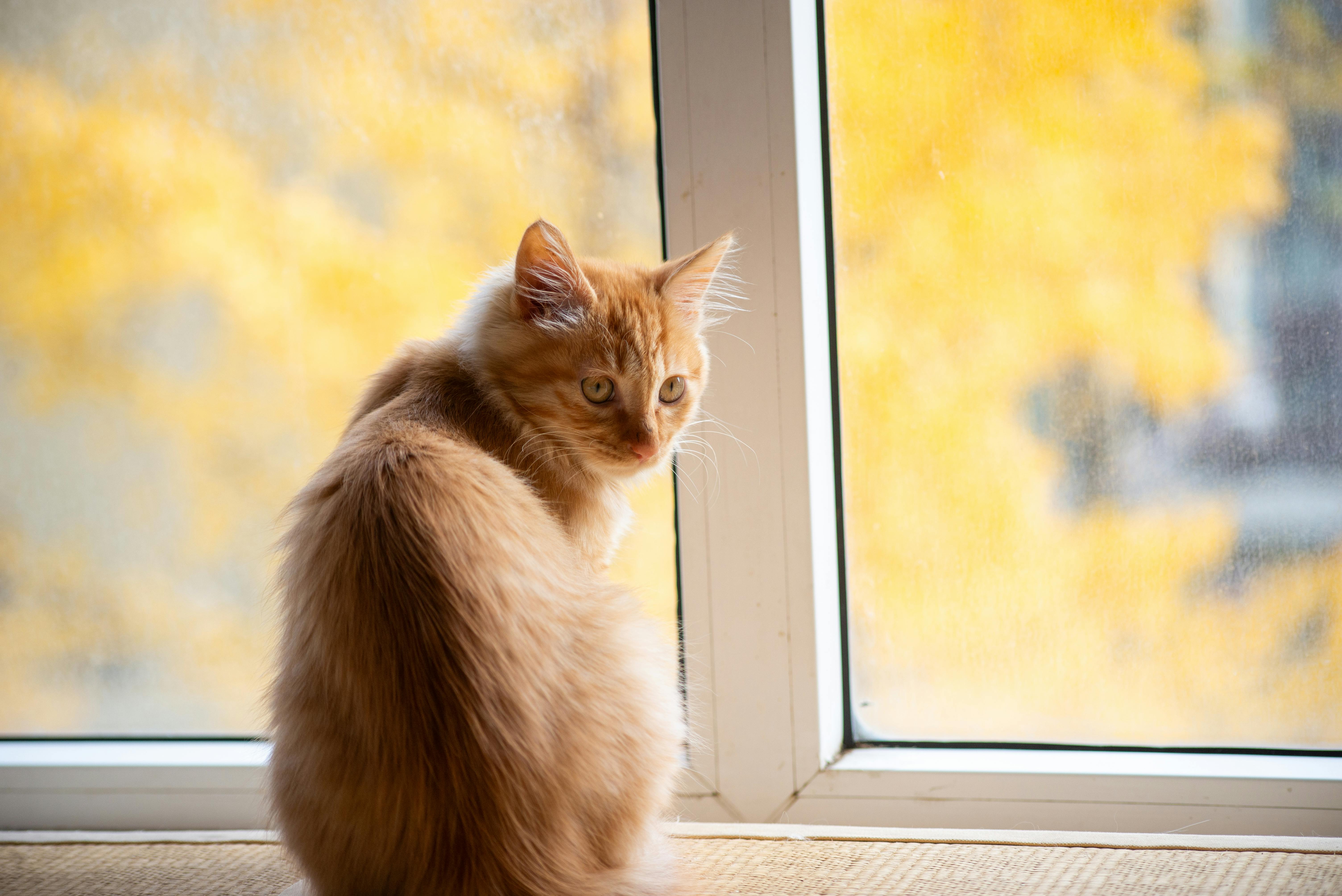 科技人的良心使命：用對的科技挽救地球未來