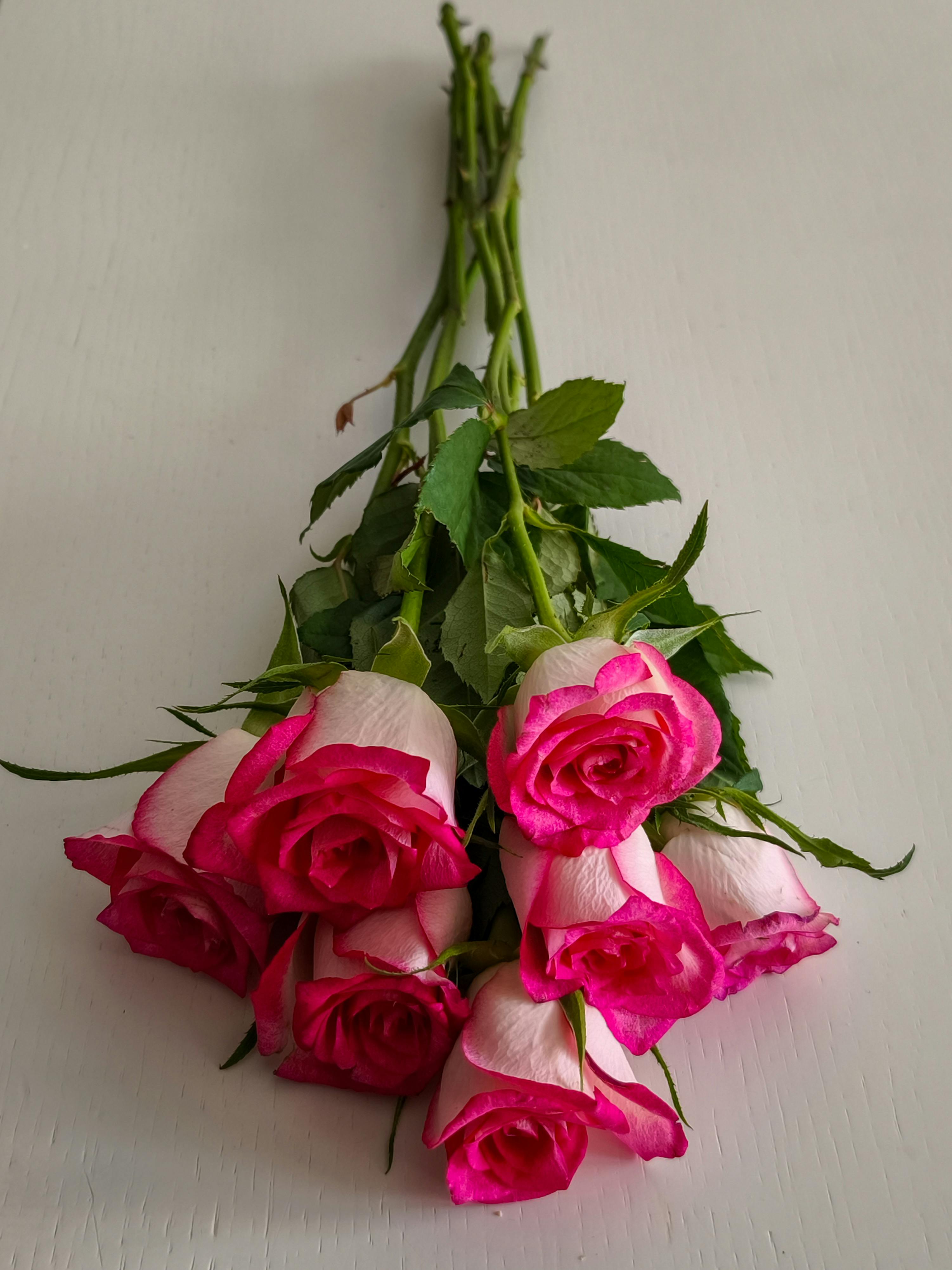 A beautiful bouquet of pink and white roses, symbolizing love and elegance.