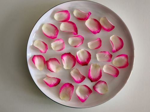Free Artistic arrangement of pink and white rose petals on a white plate. Stock Photo
