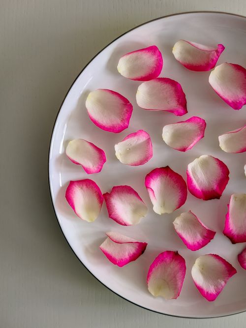 Free Aesthetic arrangement of pink rose petals on a white plate, offering a simple yet elegant floral display. Stock Photo