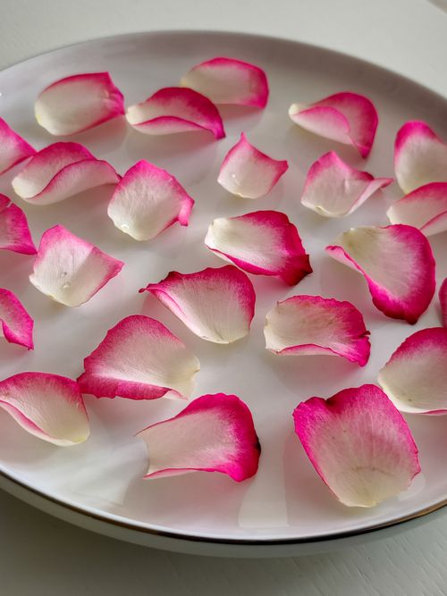Free Aesthetic pink and white rose petals arranged on a white plate, perfect for romantic or nature themes. Stock Photo