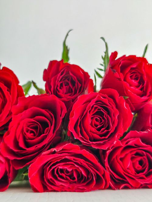 Free A close-up look at a vibrant bouquet of red roses, perfect for romantic gifts and celebrations. Stock Photo