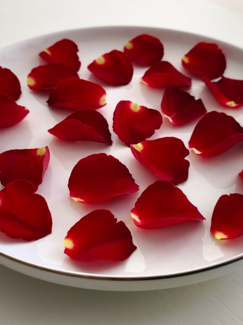 Free Beautiful red rose petals arranged on a white plate, perfect for romantic and floral themes. Stock Photo