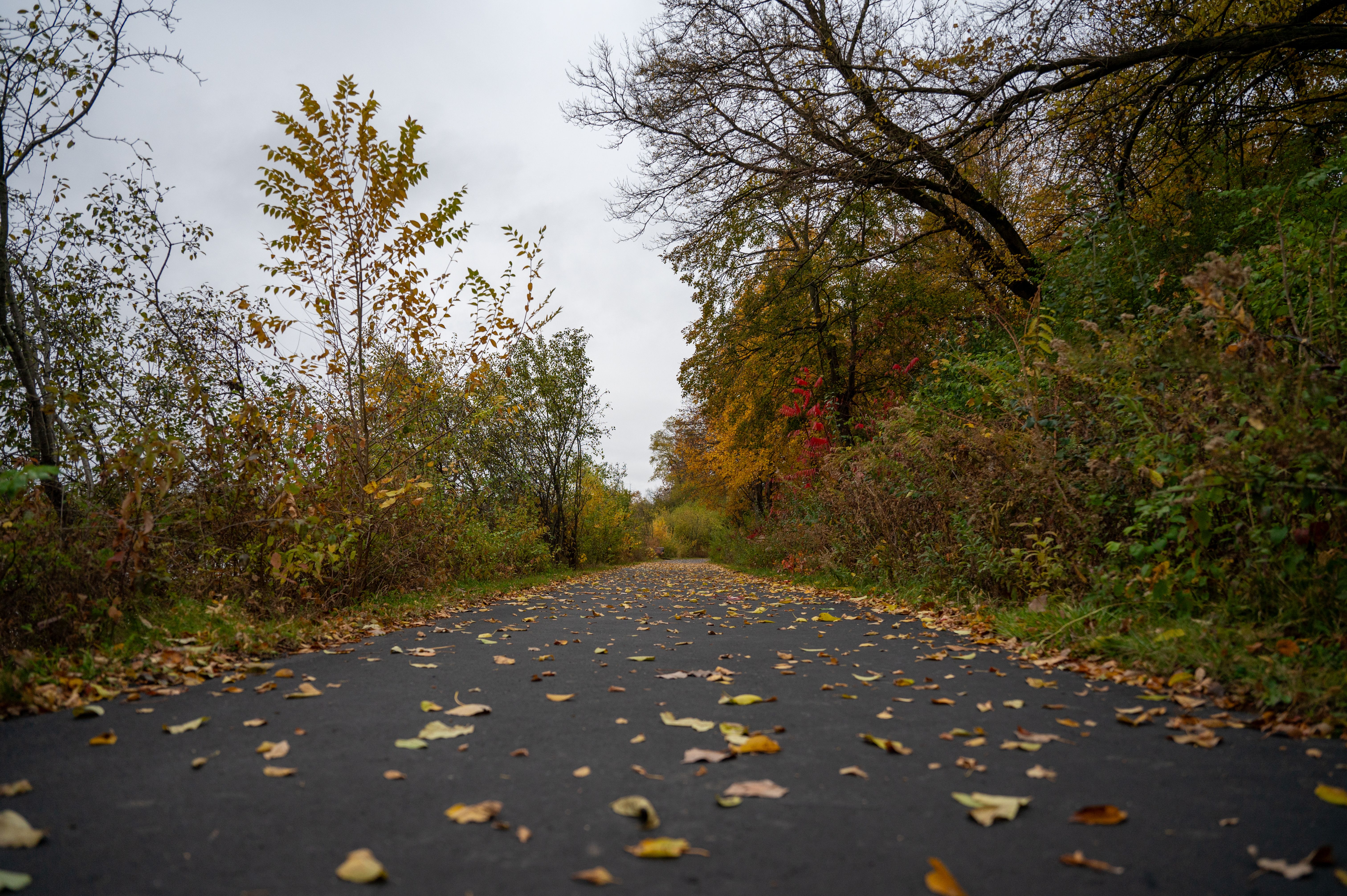 Hunterdon County celebrates new outdoor fitness equipment at Frenchtown Borough Park — Photo by Mahesh Mohan on Pexels