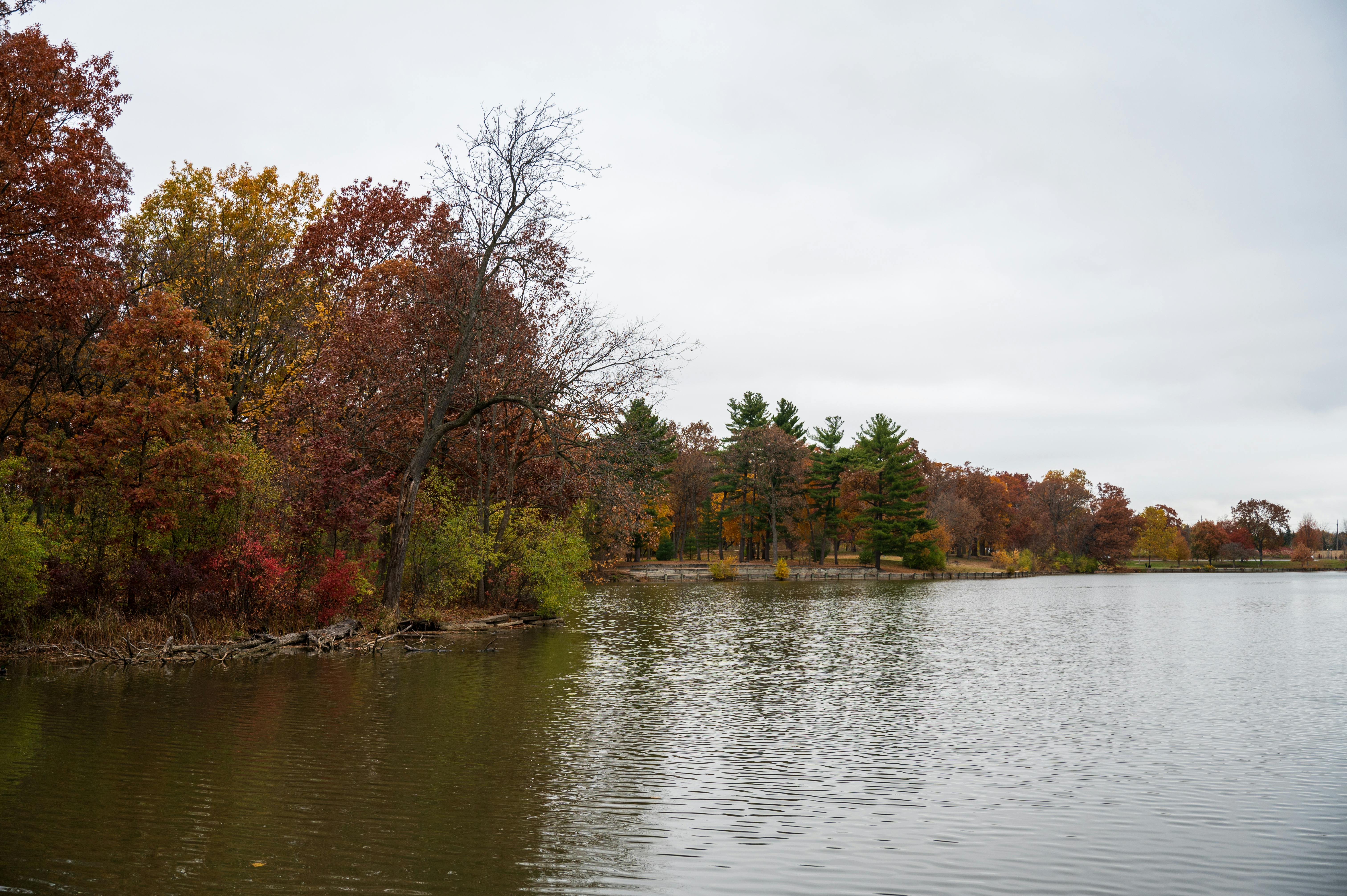 Zen Essential Oils: Unlocking Inner Calm and Balance
