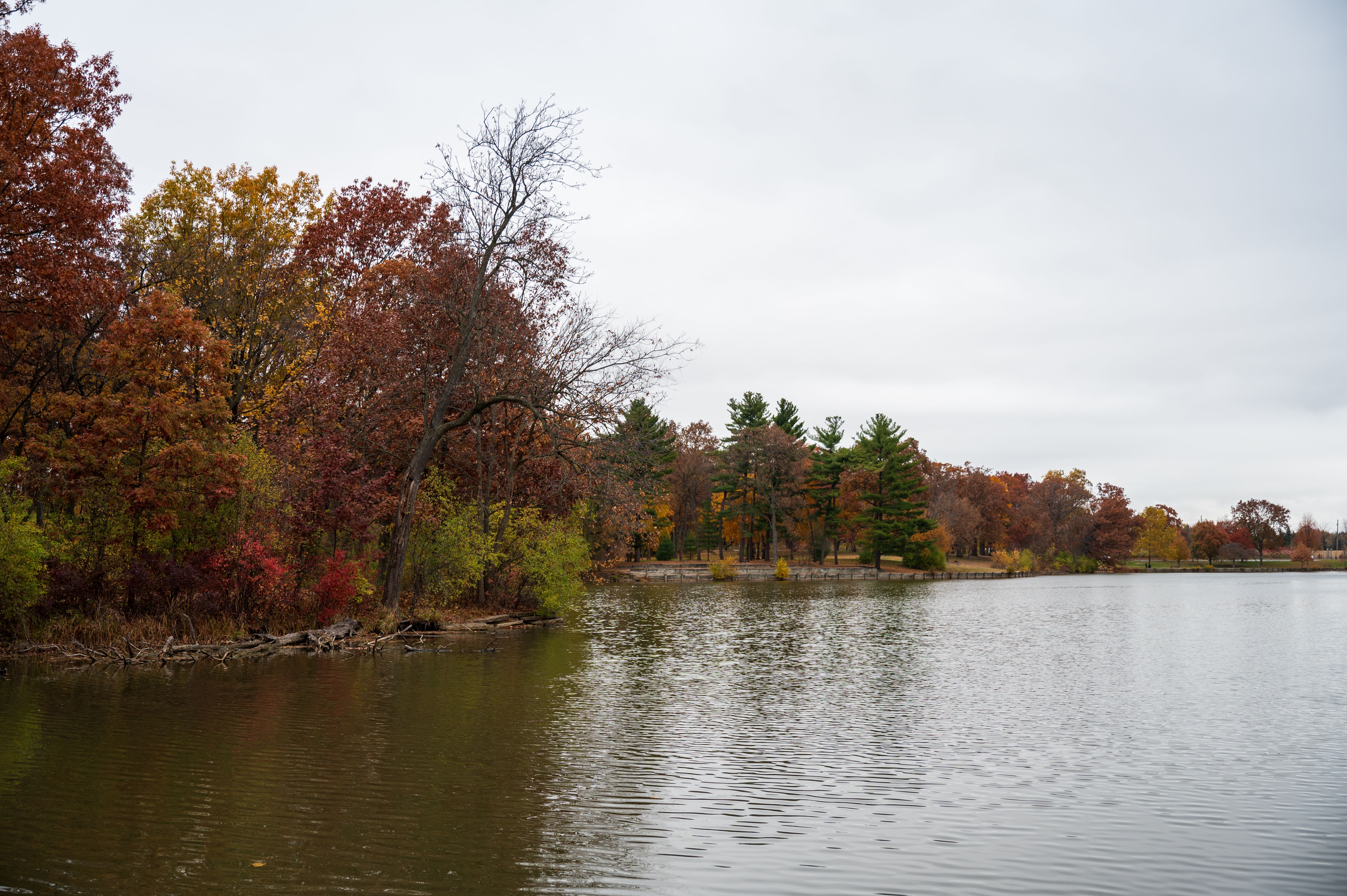Scenic Autumn Lake View with Colorful Foliage · Free Stock Photo