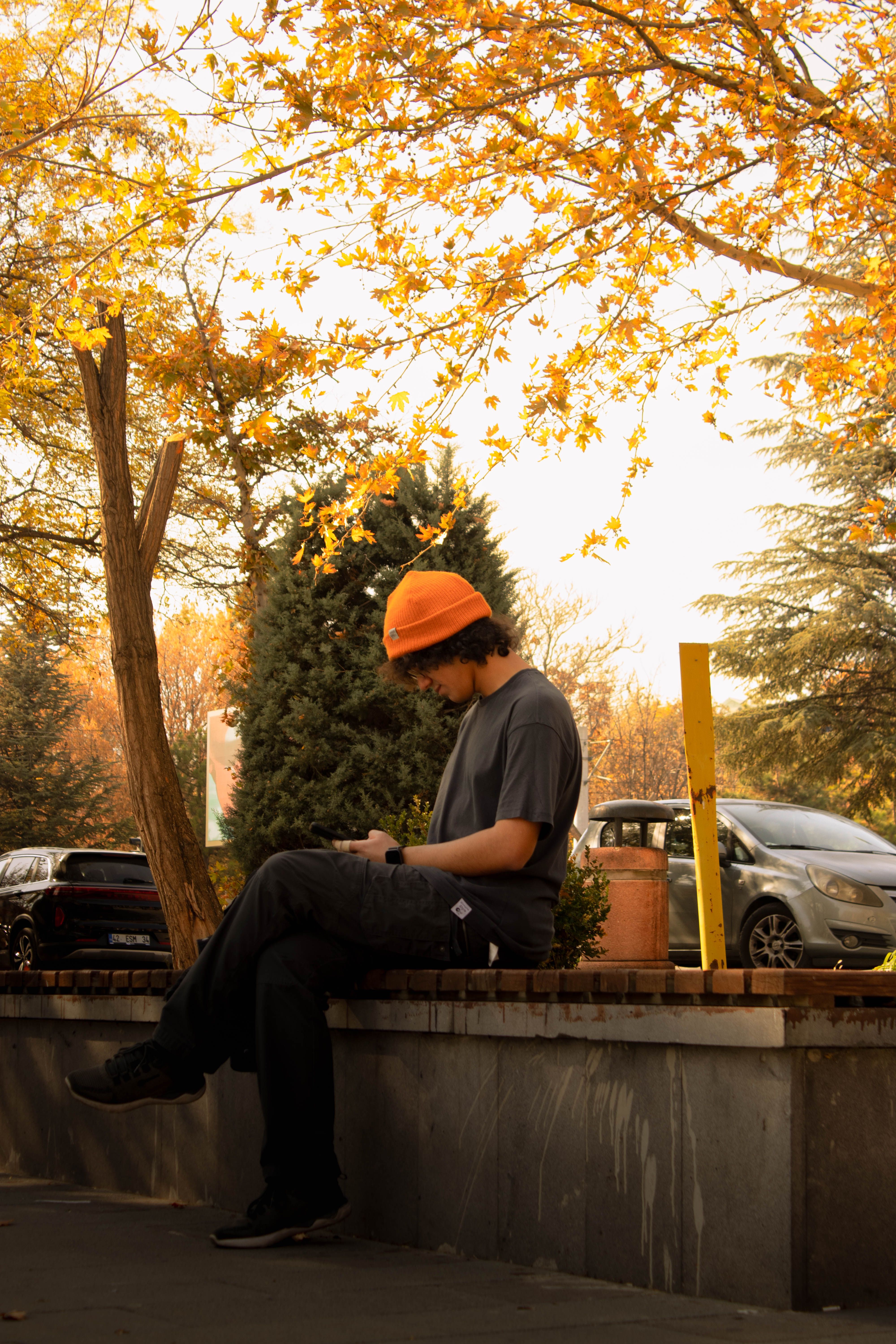 Young Man Relaxing Outdoors in Autumn Light · Free Stock Photo