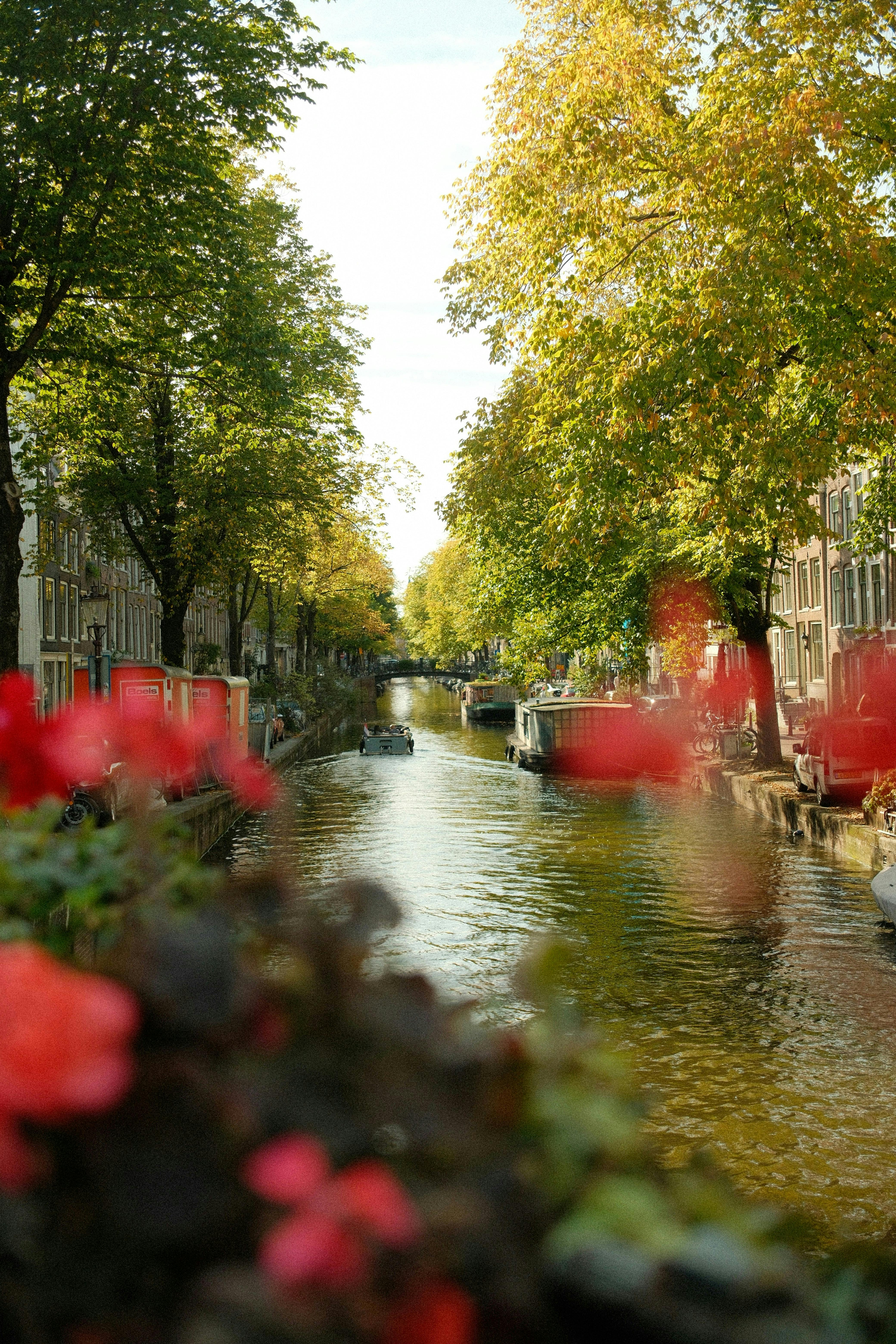 Peaceful autumn view of an Amsterdam canal lined with colorful trees and vibrant flowers.