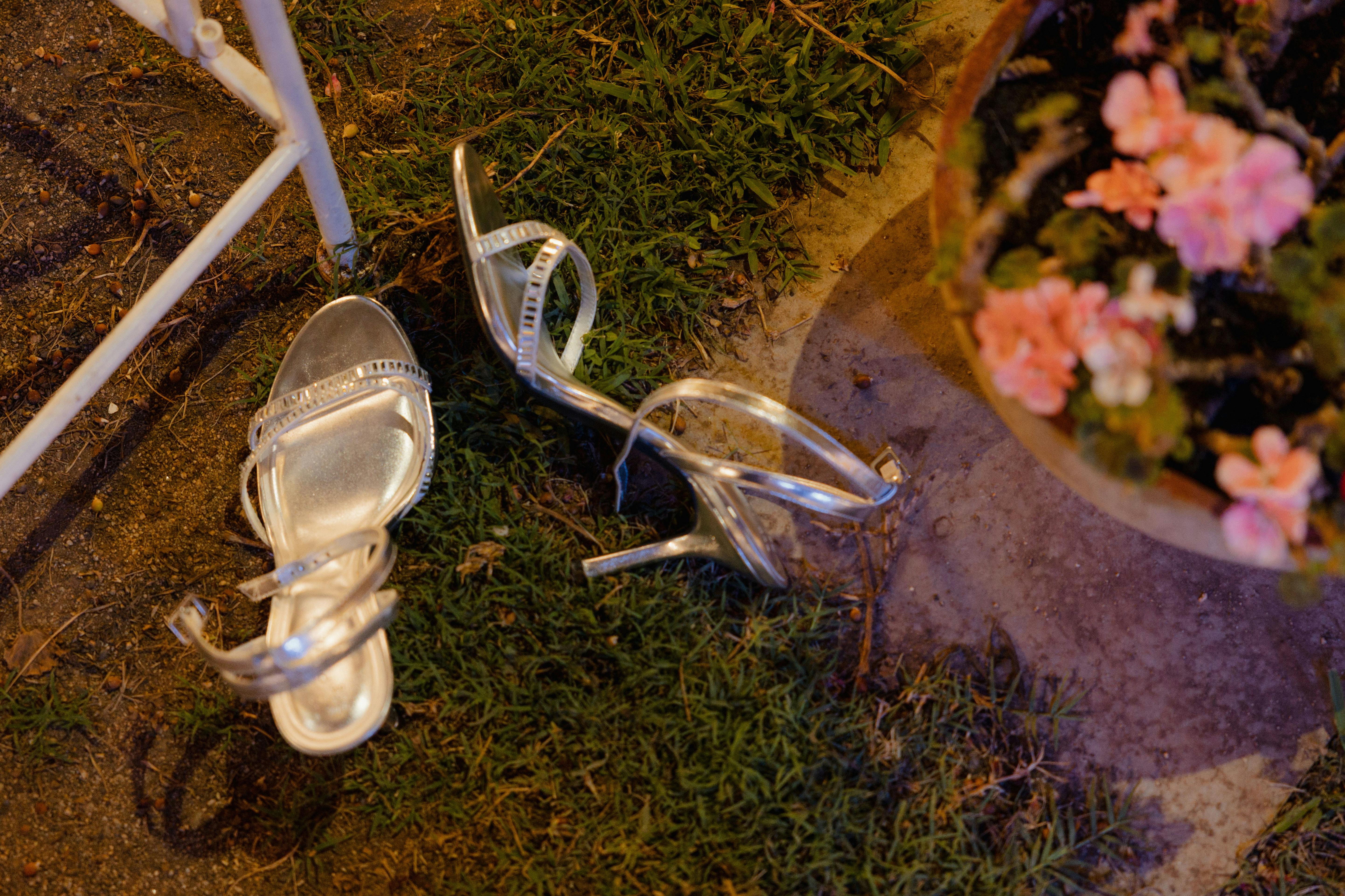 Golden Slipper Hires Lori Rubin as Executive Director — Photo by Andrea Prochilo on Pexels