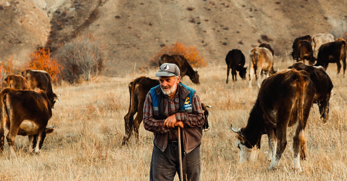 台南菁寮「後壁俗女節」11/15登場 田間餐桌體驗簡單美好生活