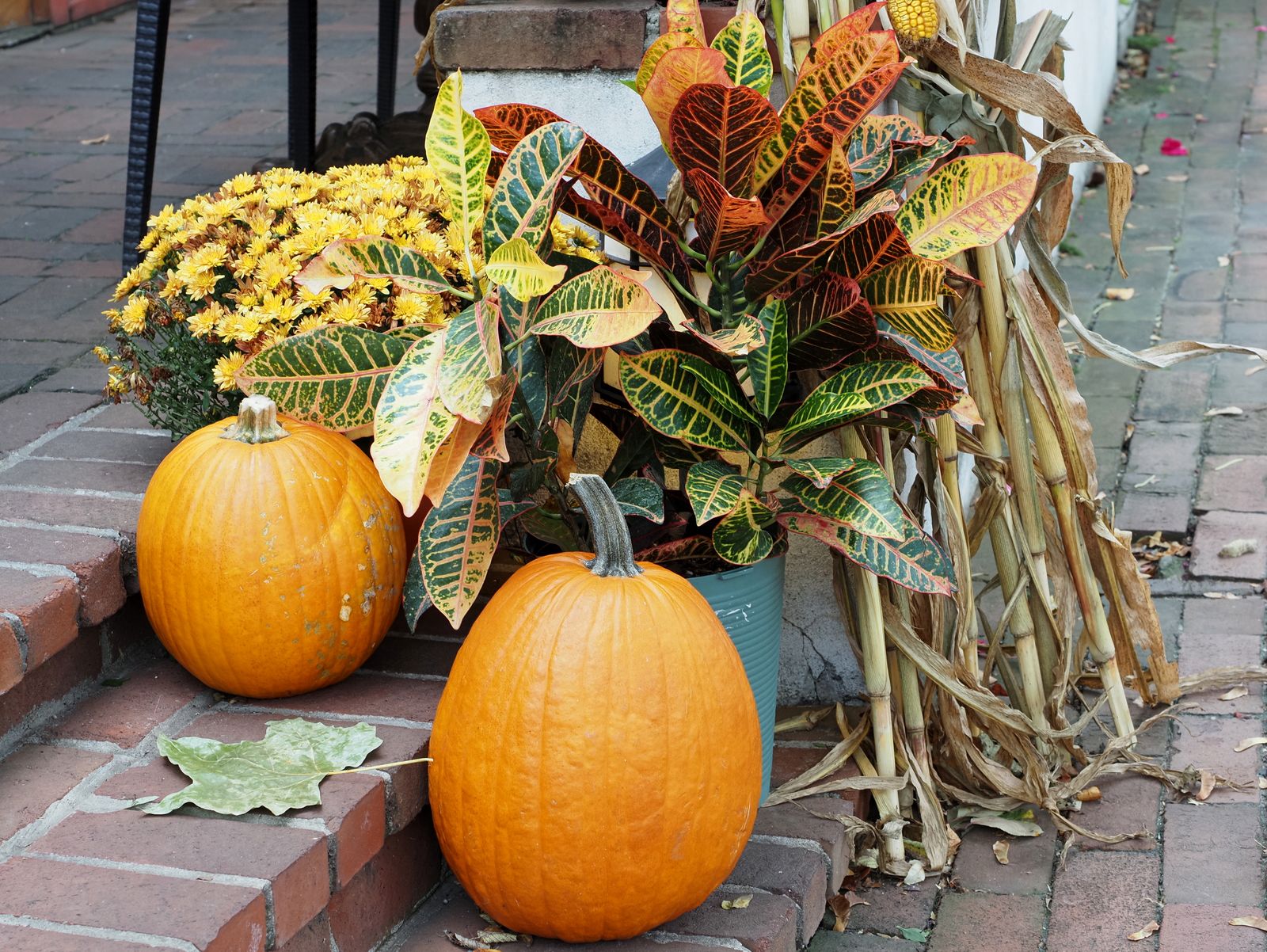 Orange pumpkins, yellow mums, colorful croton leaves, and dried cornstalks arranged on brick steps.