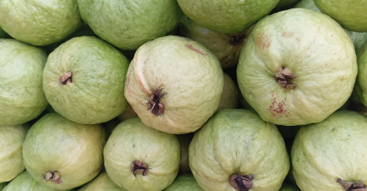 Guava Stack Fresh Guavas Stacked in Bounty Display · Free Stock Photo