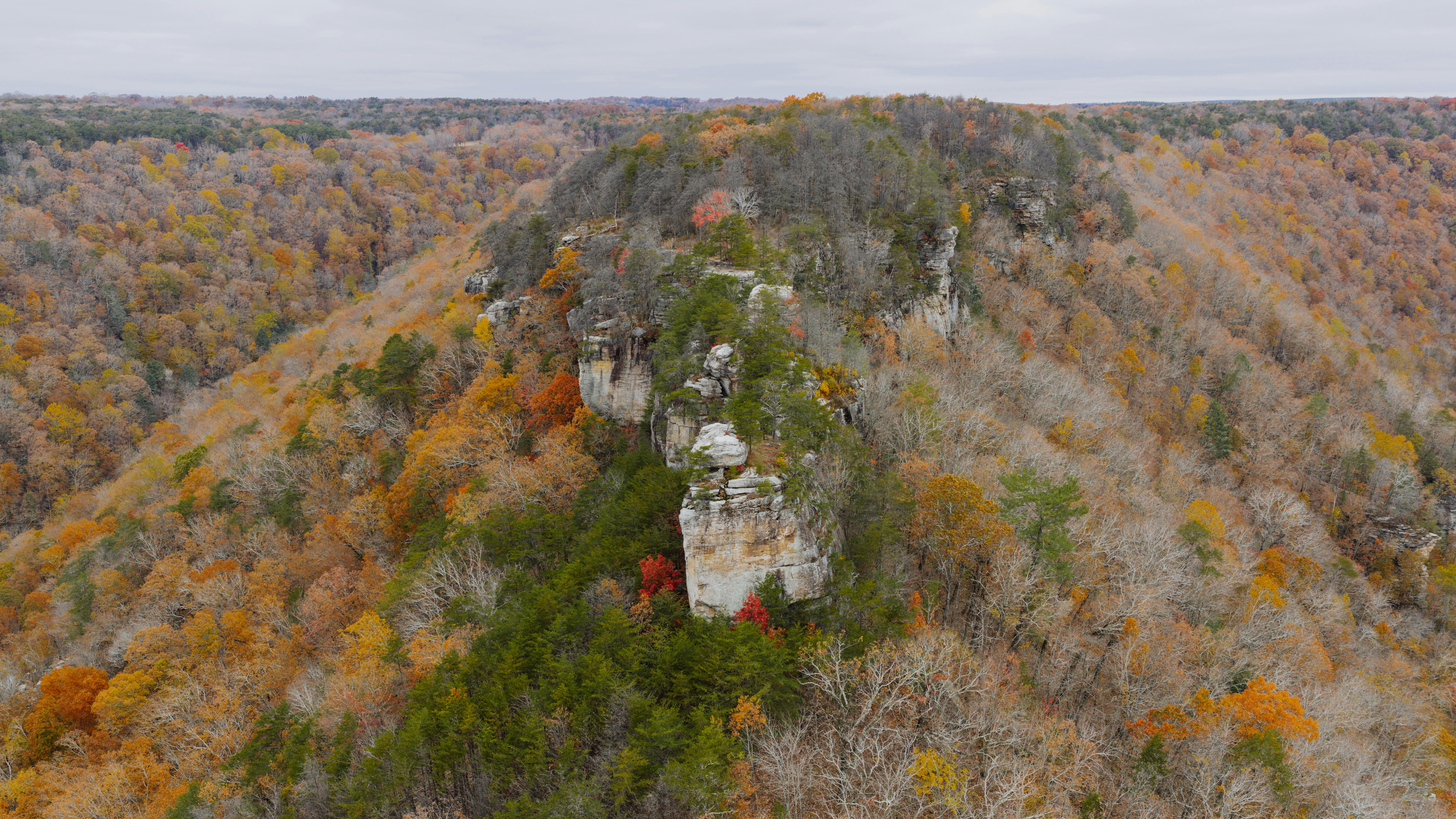 Free stock photo of aerial, autumn, buzzard point