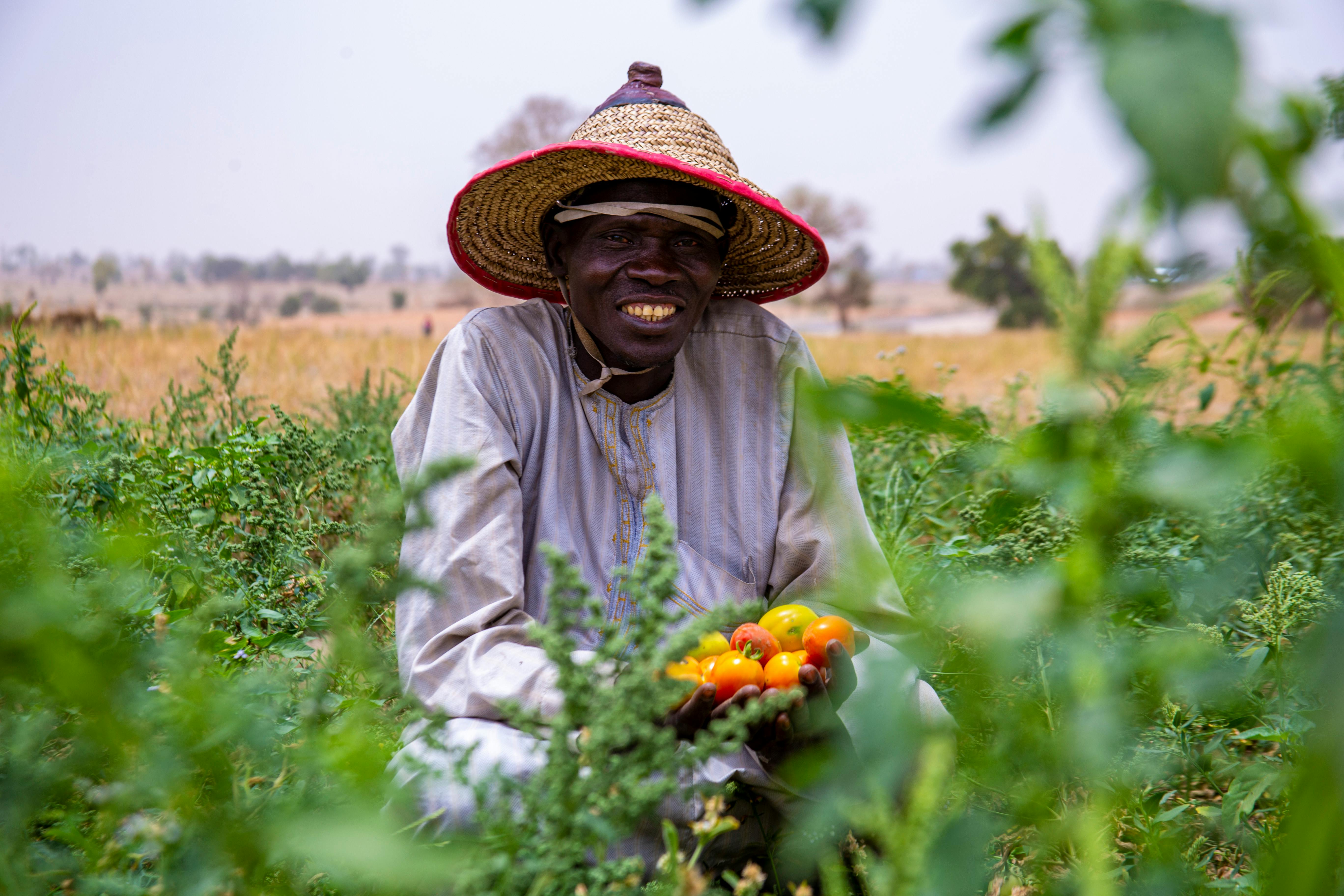 Nigerian farmer with fresh tomatoes - agricultural revolution