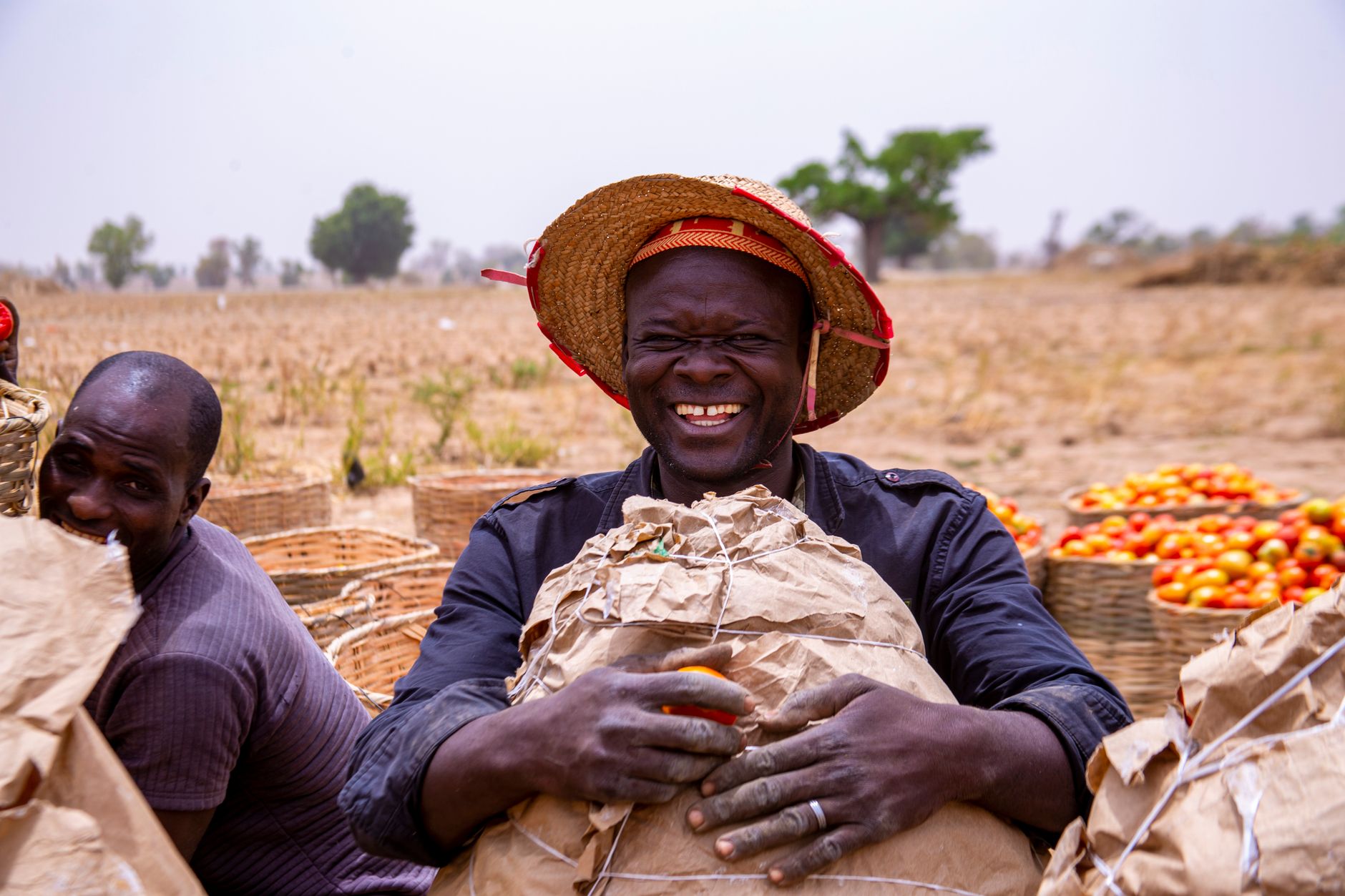 Africa Agribusiness Champions Scaling Across Borders