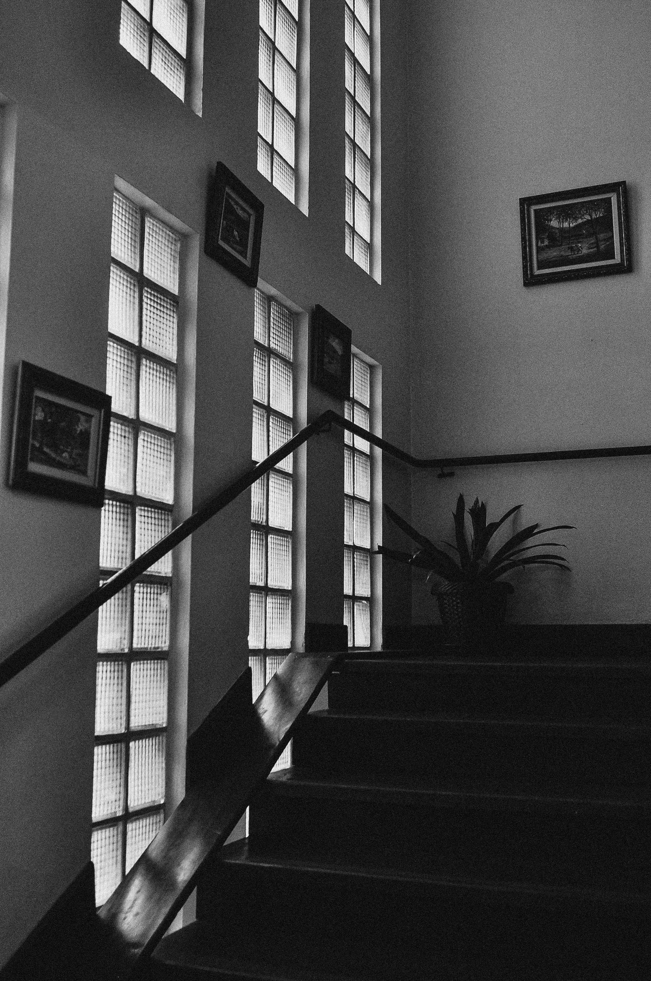 Black and White Modern Staircase Interior · Free Stock Photo