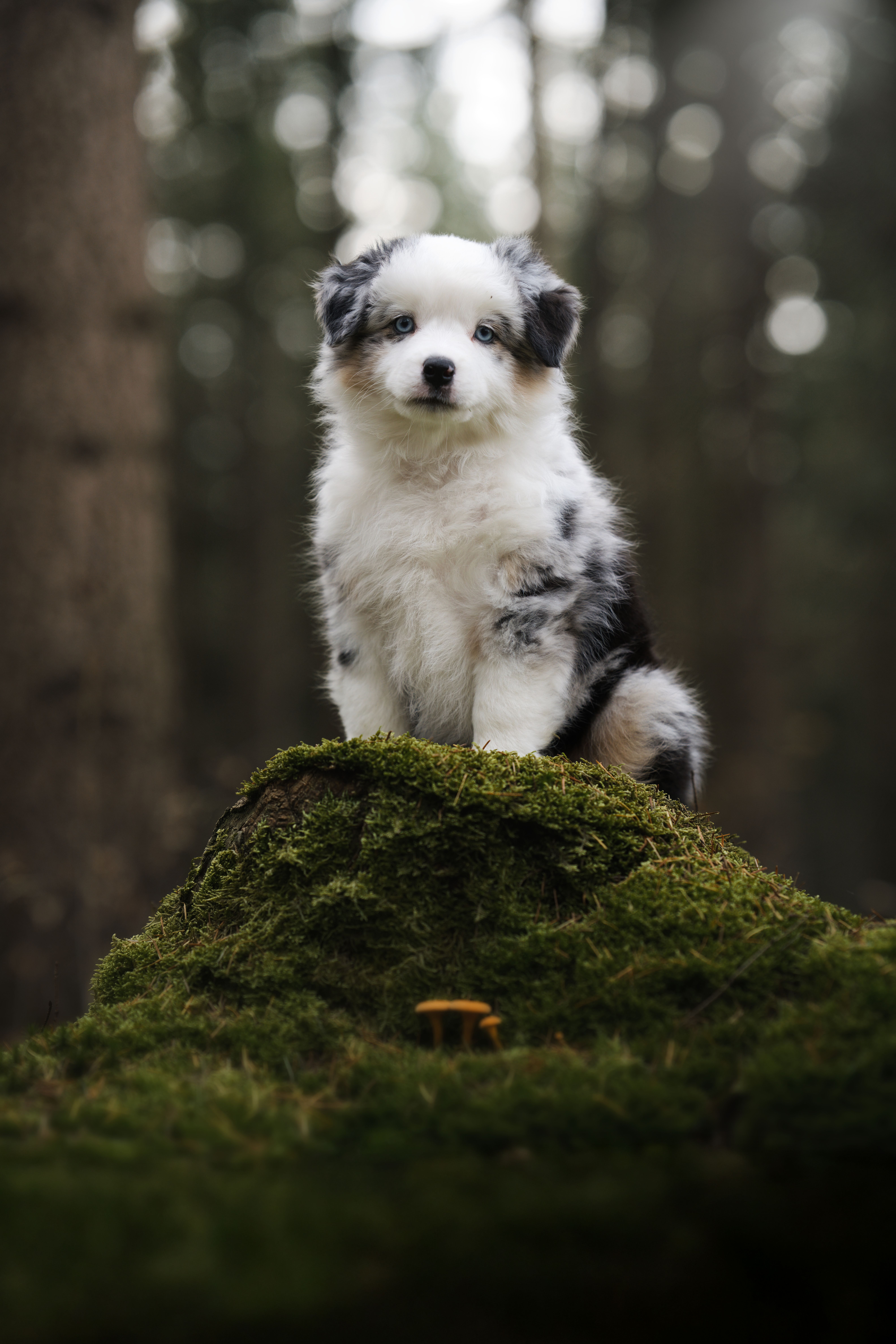 Boy Gets Pantsed By Tree Photos, Download The BEST Free Boy Gets ...