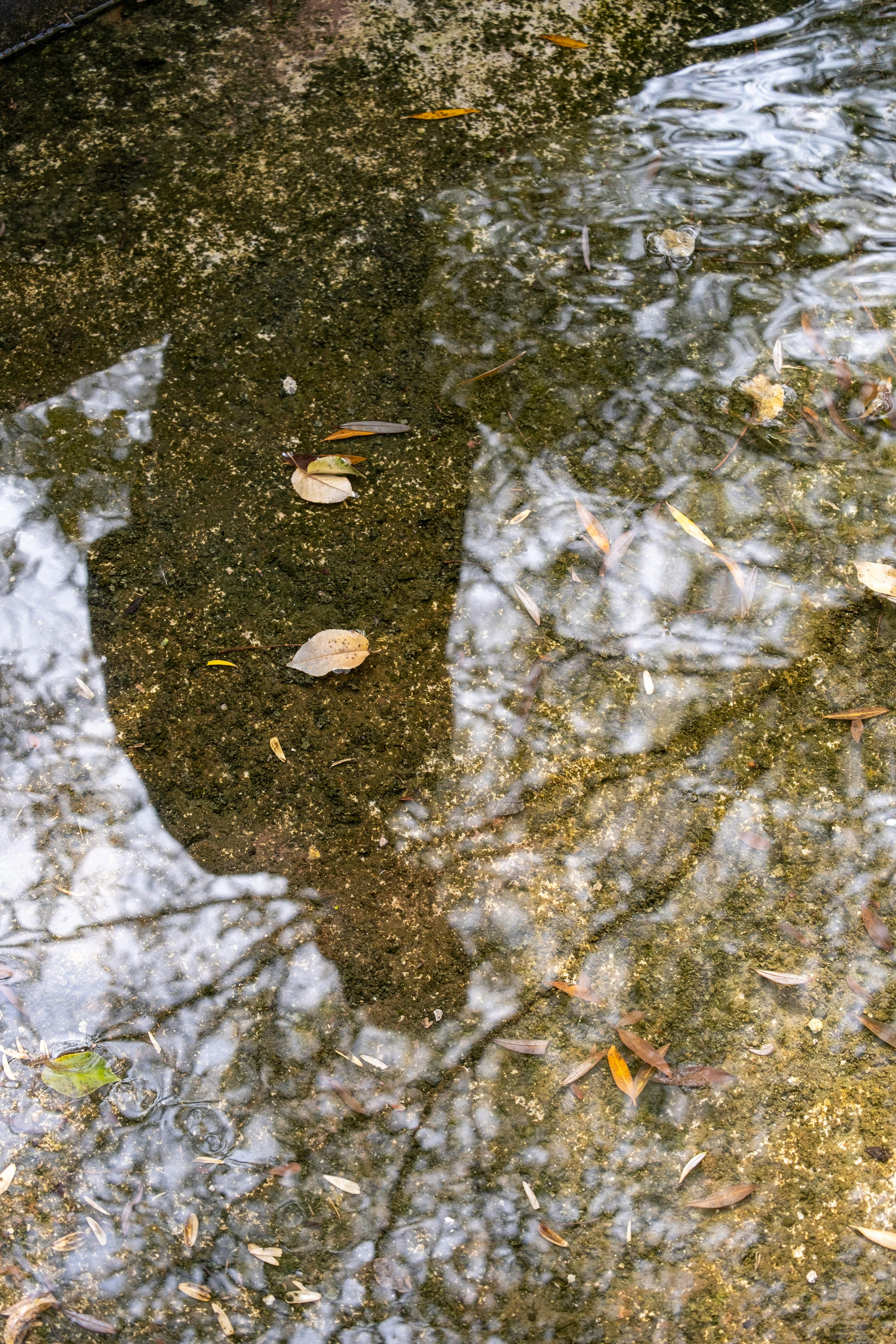 300.000+ melhores imagens de Minecraft-best-texture-packs-java ...