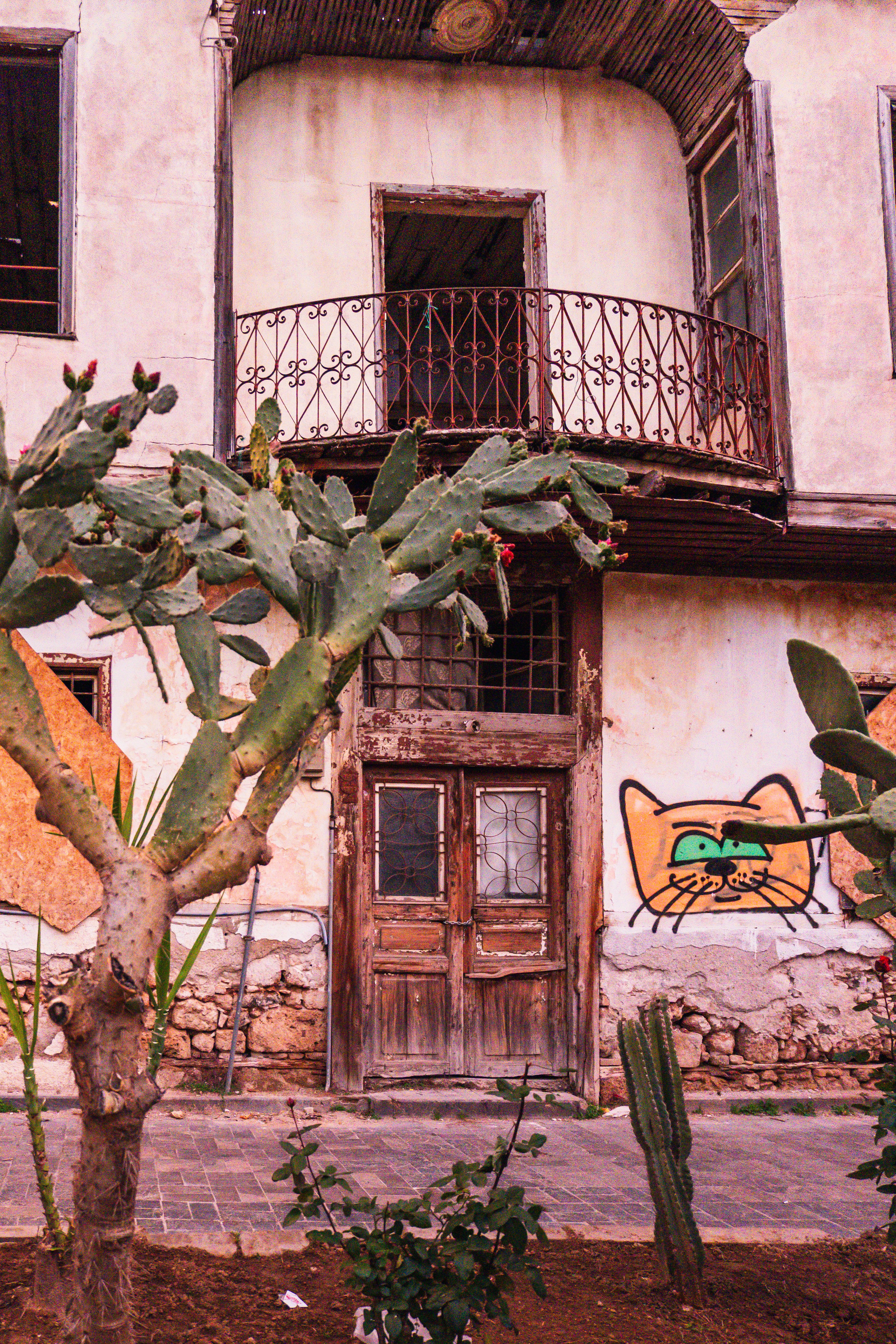 Rustic Building with Cactus and Cat Graffiti · Free Stock Photo