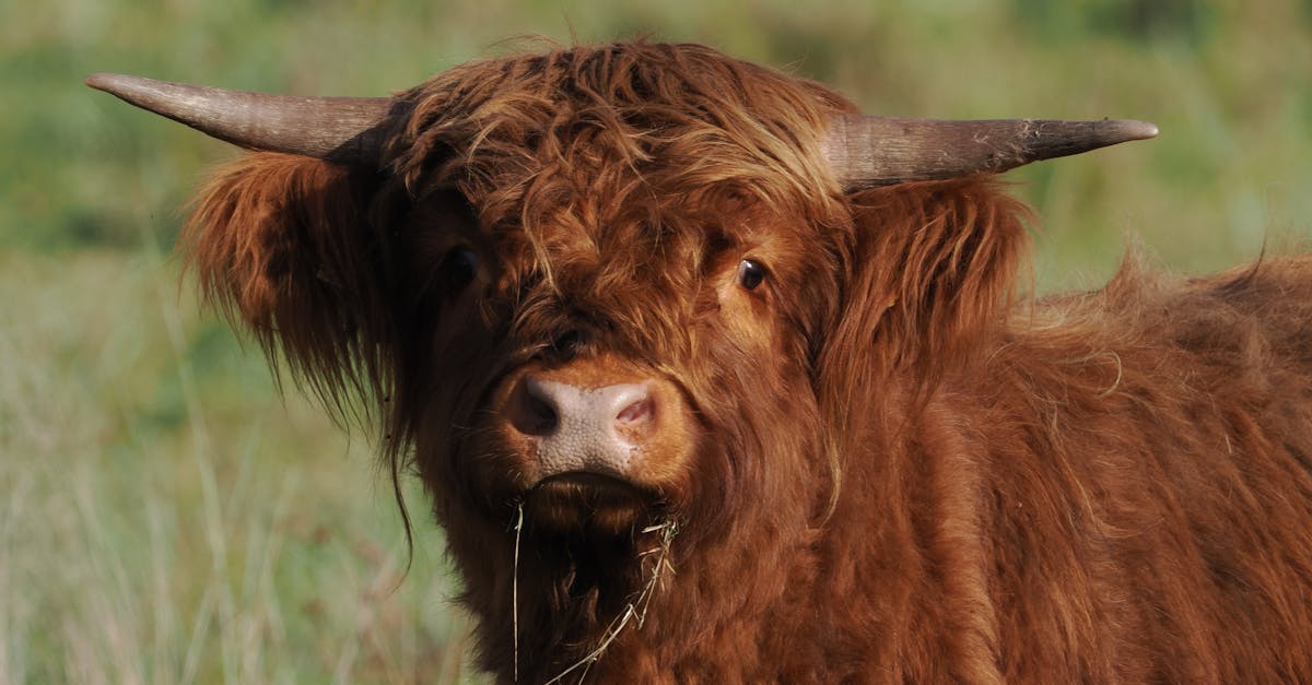 台南菁寮「後壁俗女節」11/15登場 田間餐桌體驗簡單美好生活