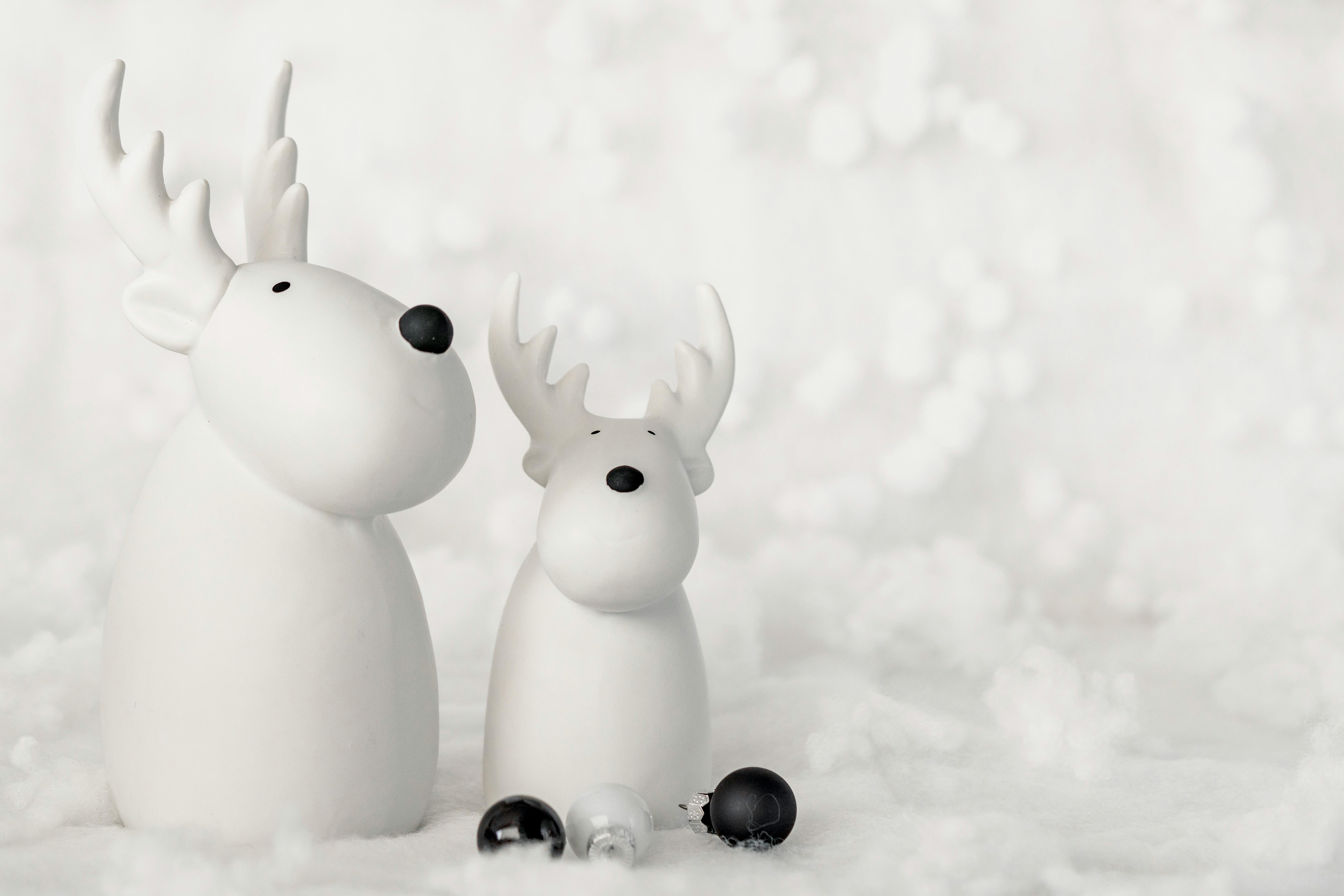 國際：2025苗栗陶藝術節11/22陶瓷博物館盛大開幕，展現陶土無限