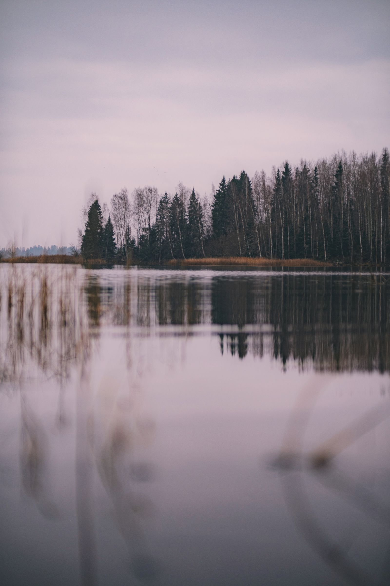Serene Lake at Dawn with Misty Reflections · Free Stock Photo