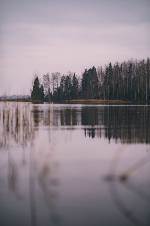 Free Peaceful lake view in autumn at Paunküla, Estonia, with reflections of trees on calm water. Stock Photo