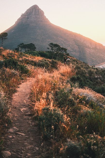 A picturesque hiking trail towards Lion's Head, Cape Town, with sunset hues lighting the landscape.