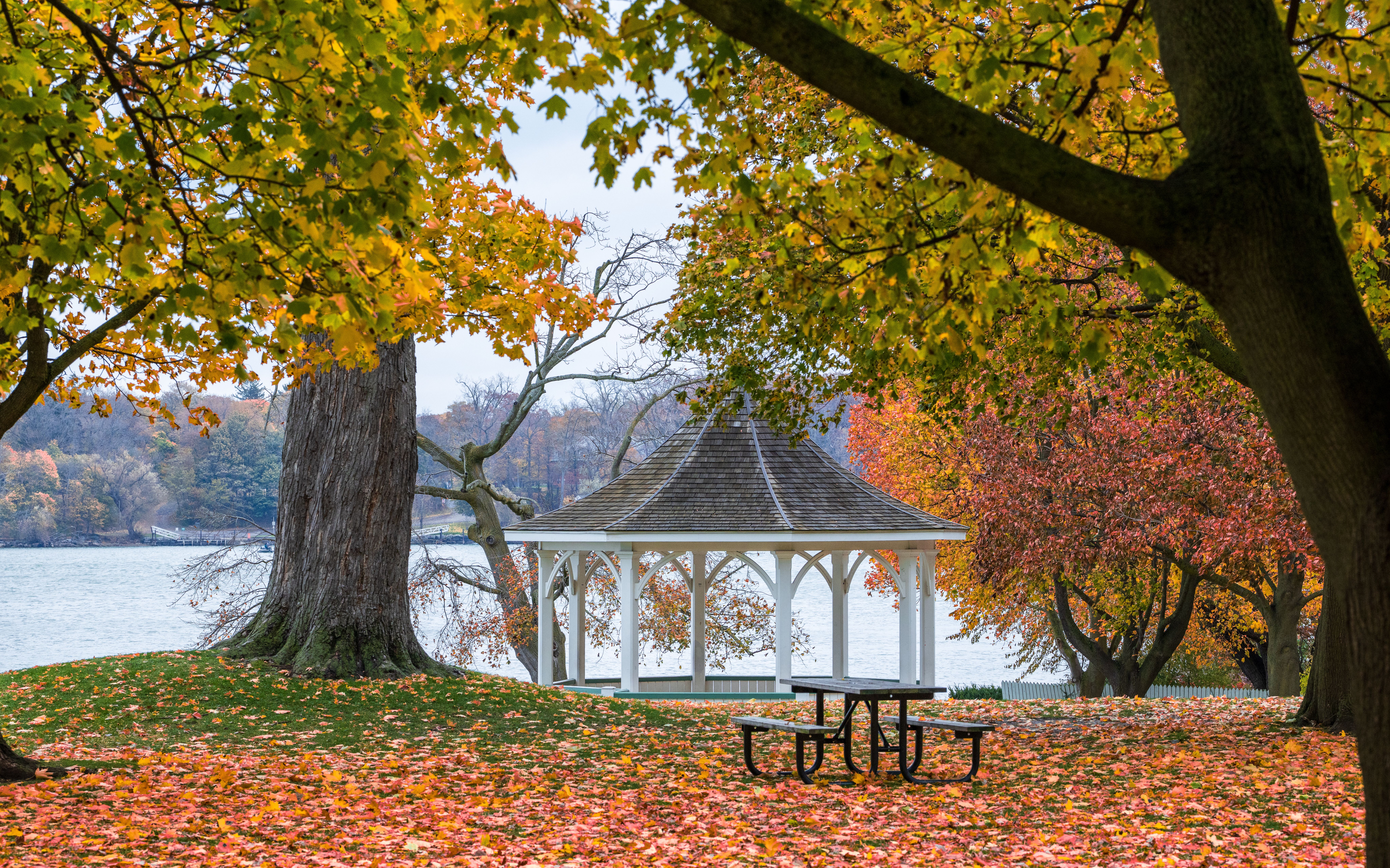 Scenic Autumn Gazebo by the Lake · Free Stock Photo