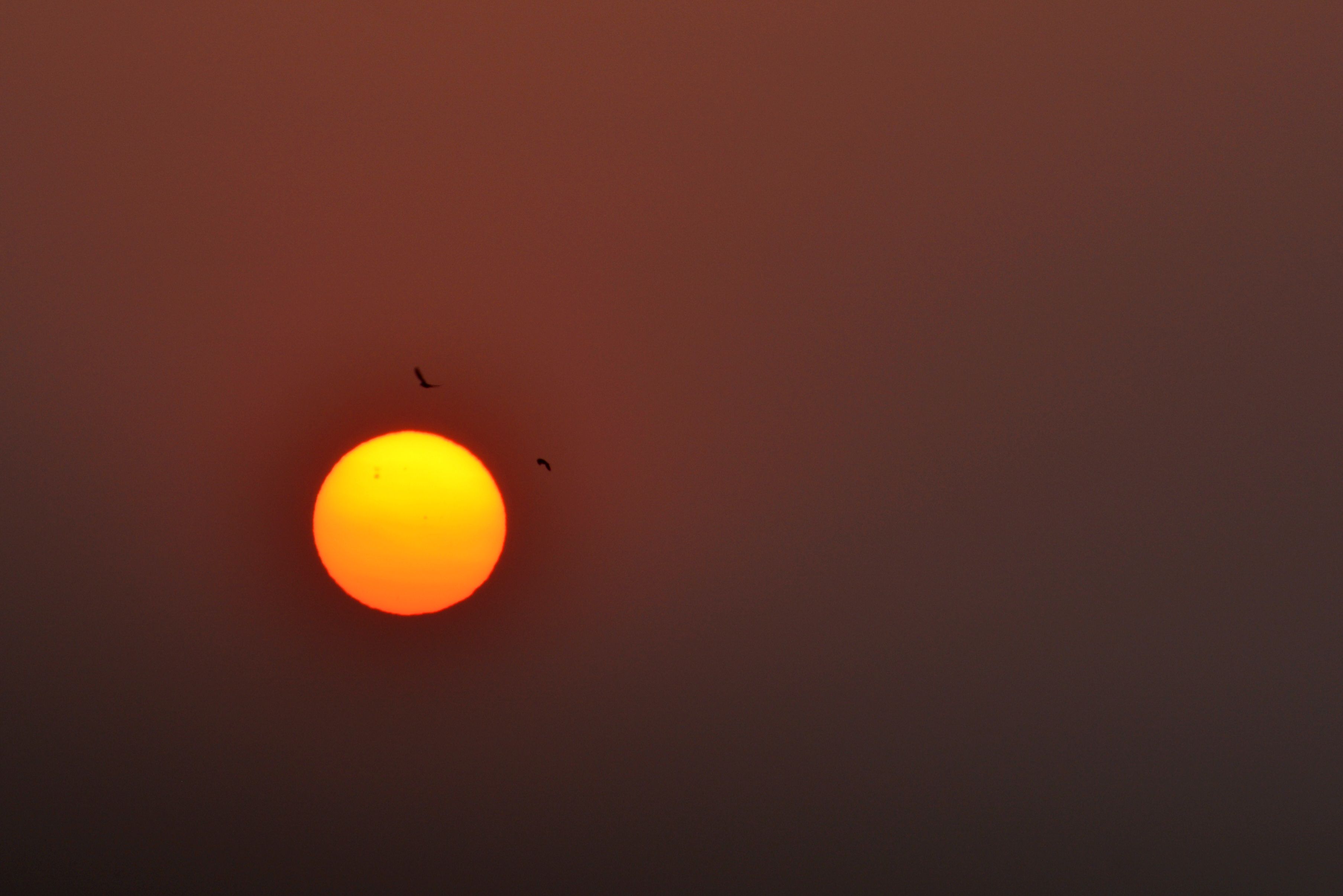 Majestic sunrise over Mumbai with birds silhouetted against a glowing sun, creating a serene and vibrant atmosphere.