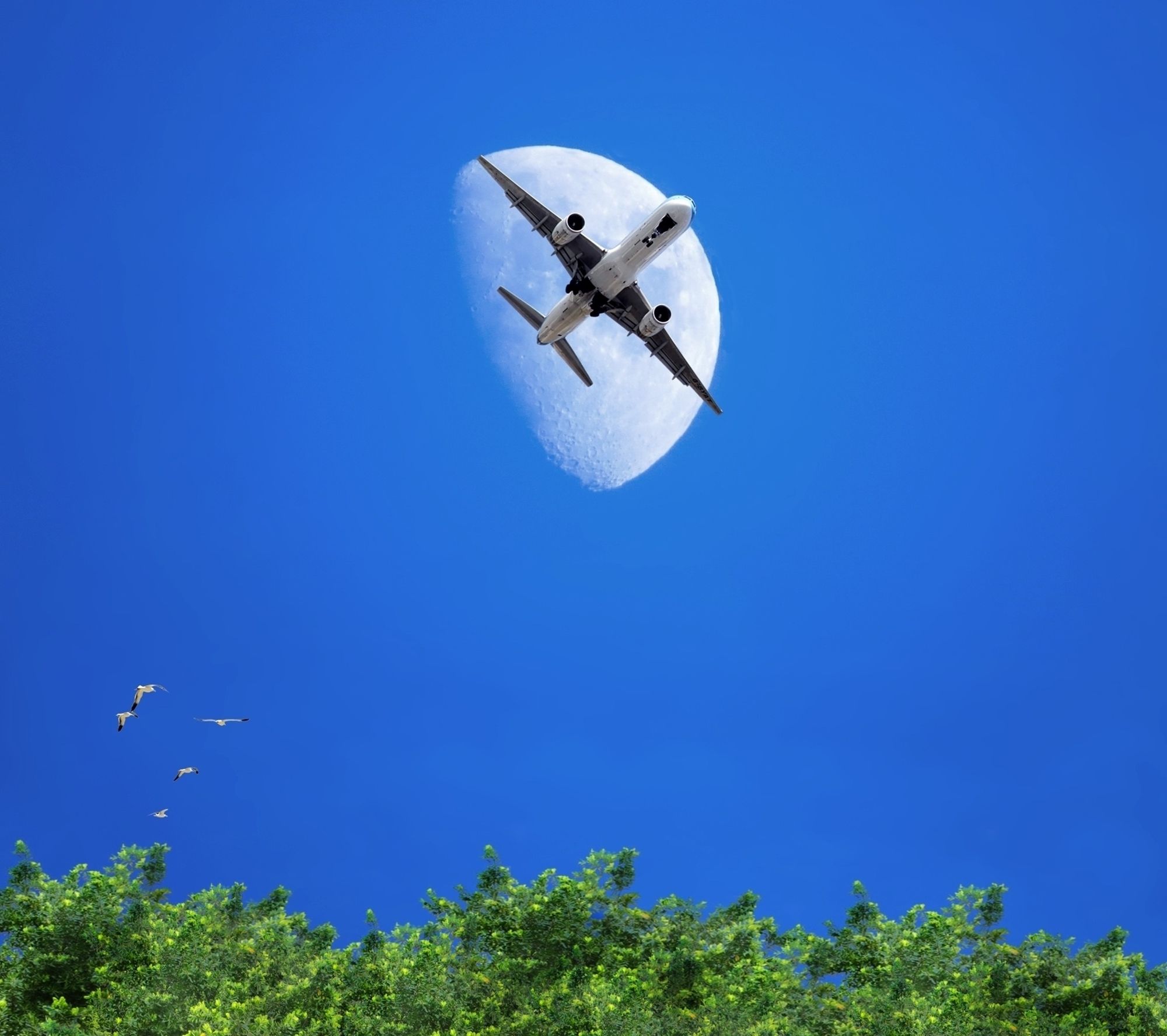 Free stock photo of lua, moon, nature