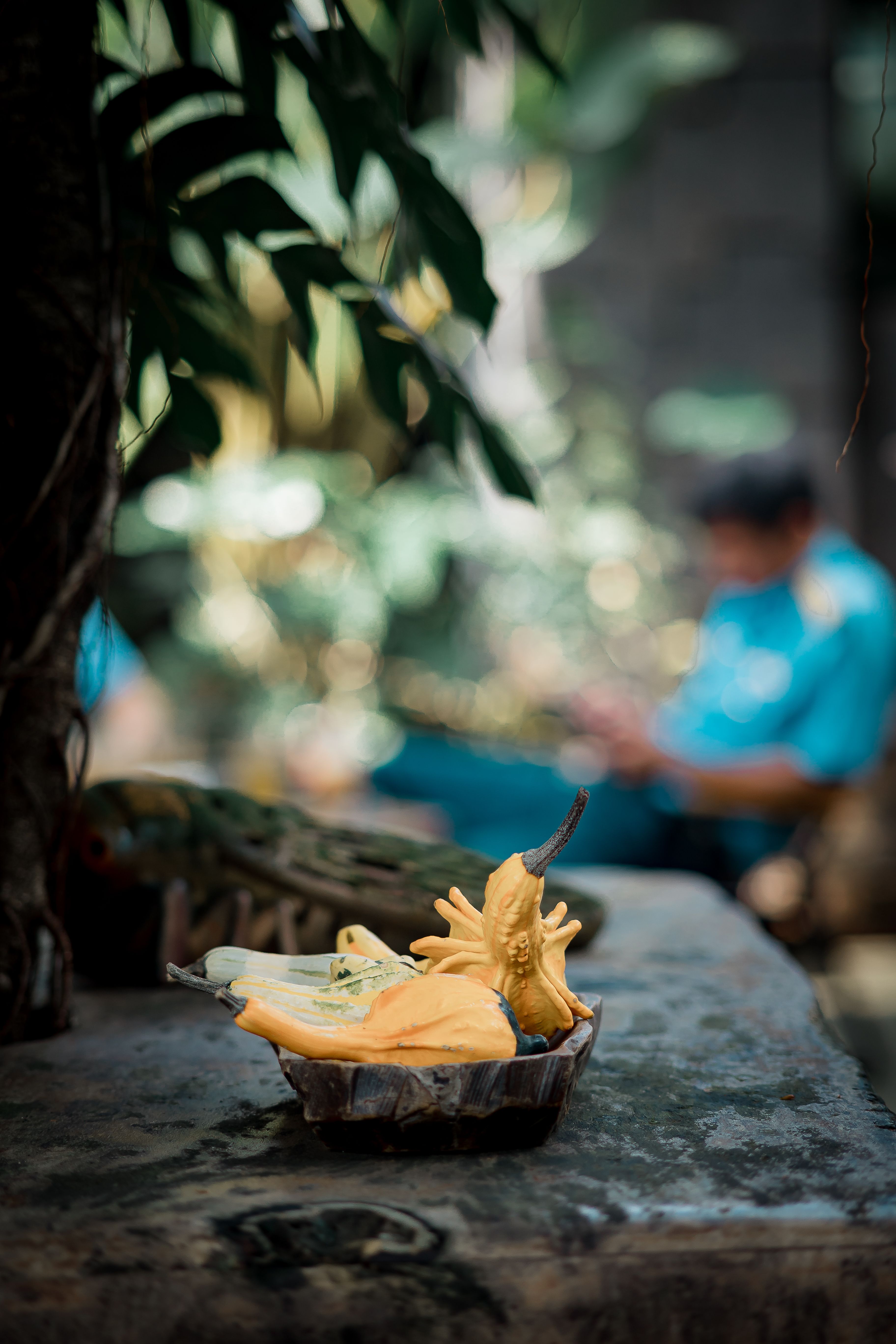 Exotic Photos, Download The BEST Free Exotic Stock Photos & HD Images