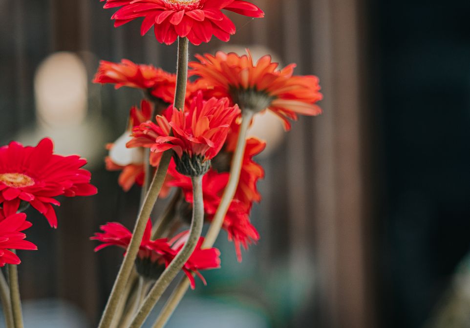 Online dating: starting a conversation on a niche platform