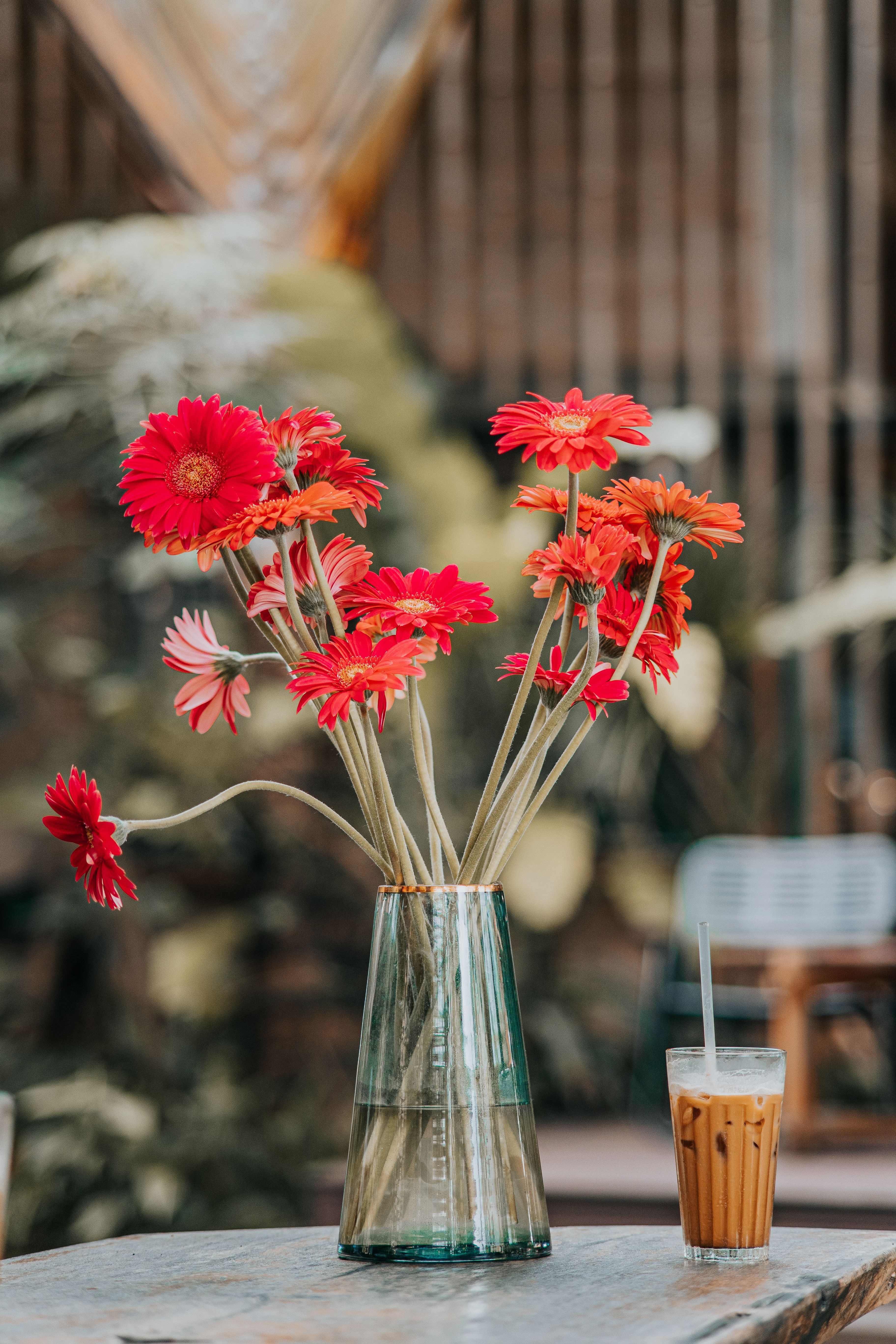 VERRE GERBERA DAISY (16 OZ)