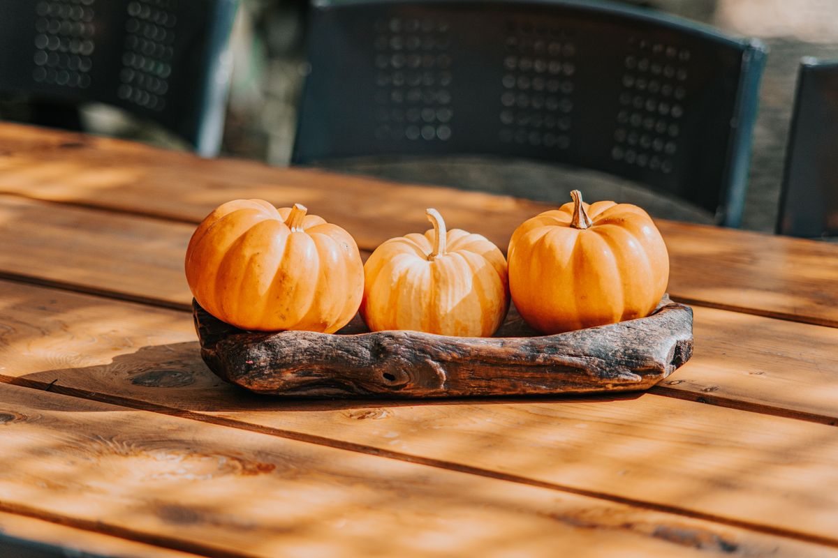 Three mini pumpkins on a wooden tray create a warm autumn centerpiece. Stock Photo.