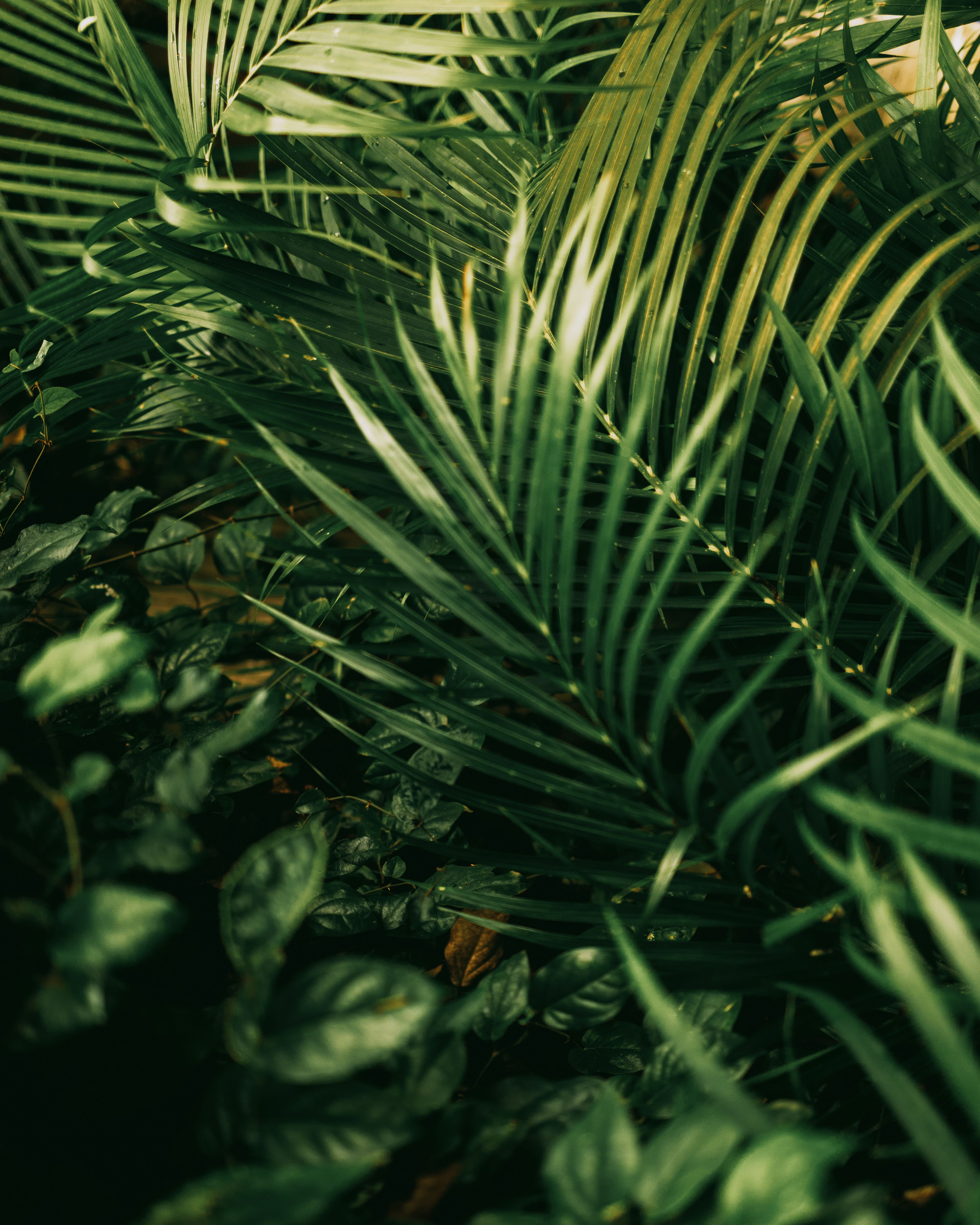 Landscape High Res Photos, Download The BEST Free Landscape High Res ...