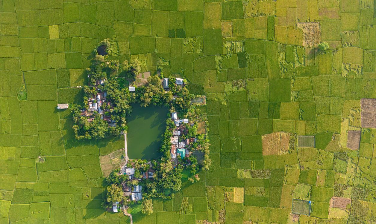 Aerial View of a Lush Green Bangladeshi Village · Free Stock Photo