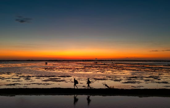 Stunning aerial shot of a sunrise reflecting over a Bangladesh village landscape, capturing silhouettes of active people.