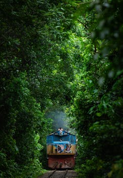 A vibrant train travels through the dense forest in Bangladesh, showcasing stunning natural beauty.