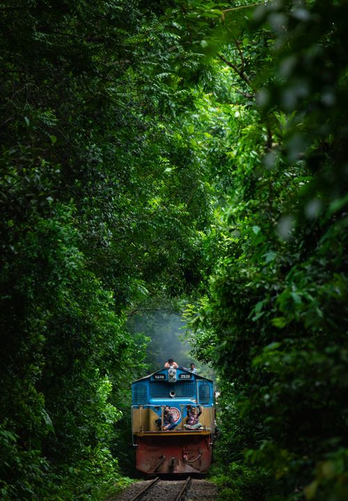 Free A vibrant train travels through the dense forest in Bangladesh, showcasing stunning natural beauty. Stock Photo