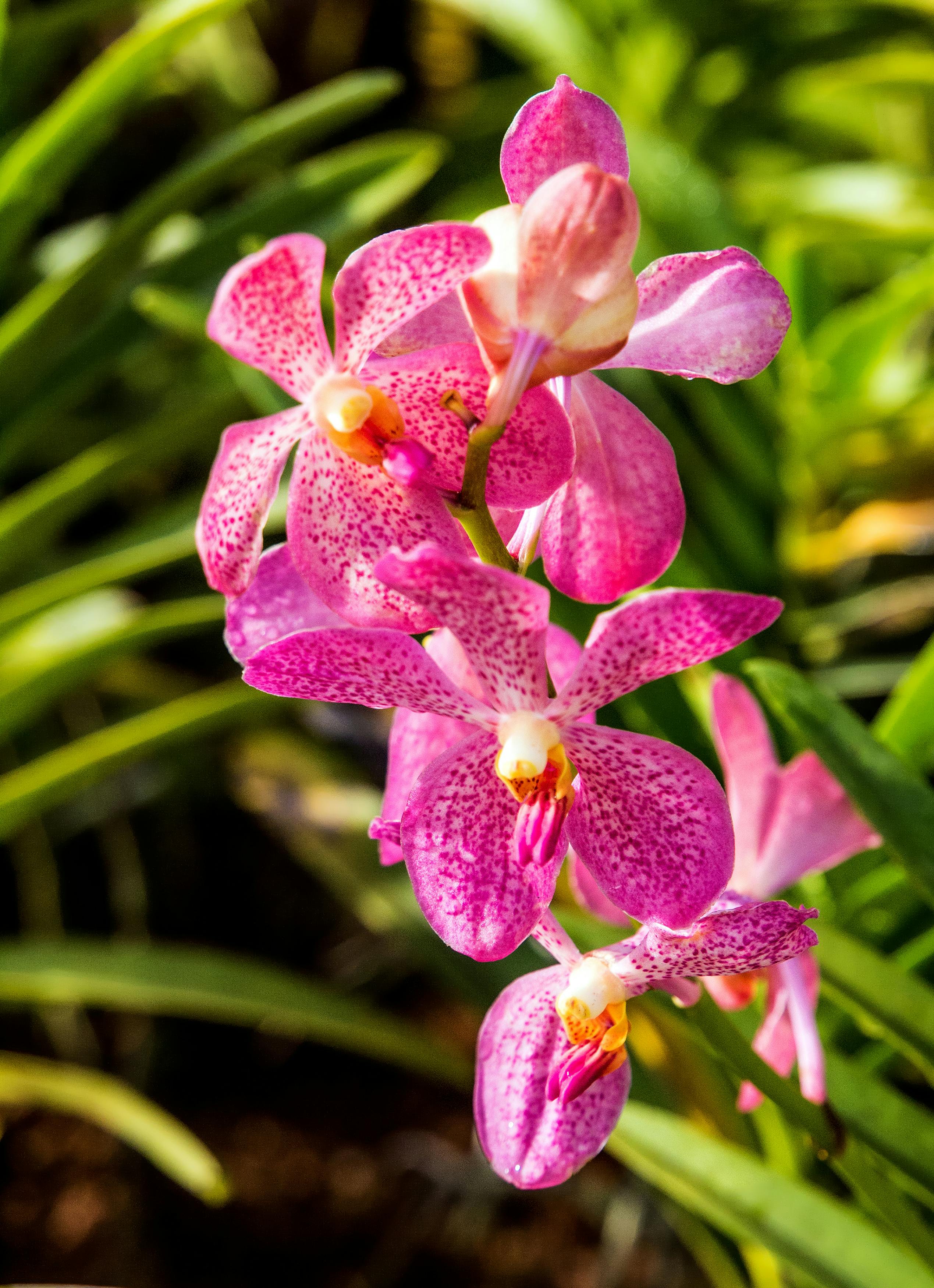 5 Adımda Bakırköy'deki Emlak Gelişimini Anlamak: Karlı Yatırım Fırsatlarını Nasıl Bulursunuz?