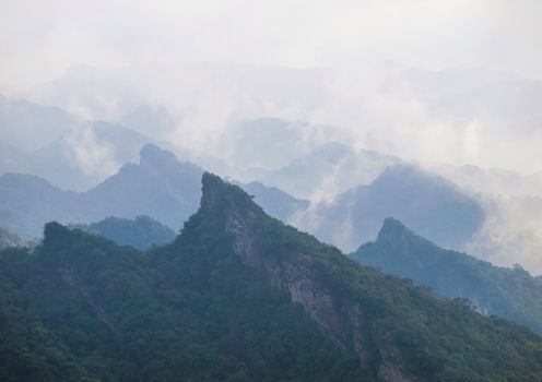 Serene view of misty mountain ranges with lush vegetation and dense fog.