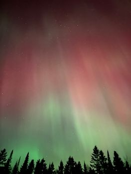 Spectacular view of Aurora Borealis lighting up the sky over a forest in Minnesota.