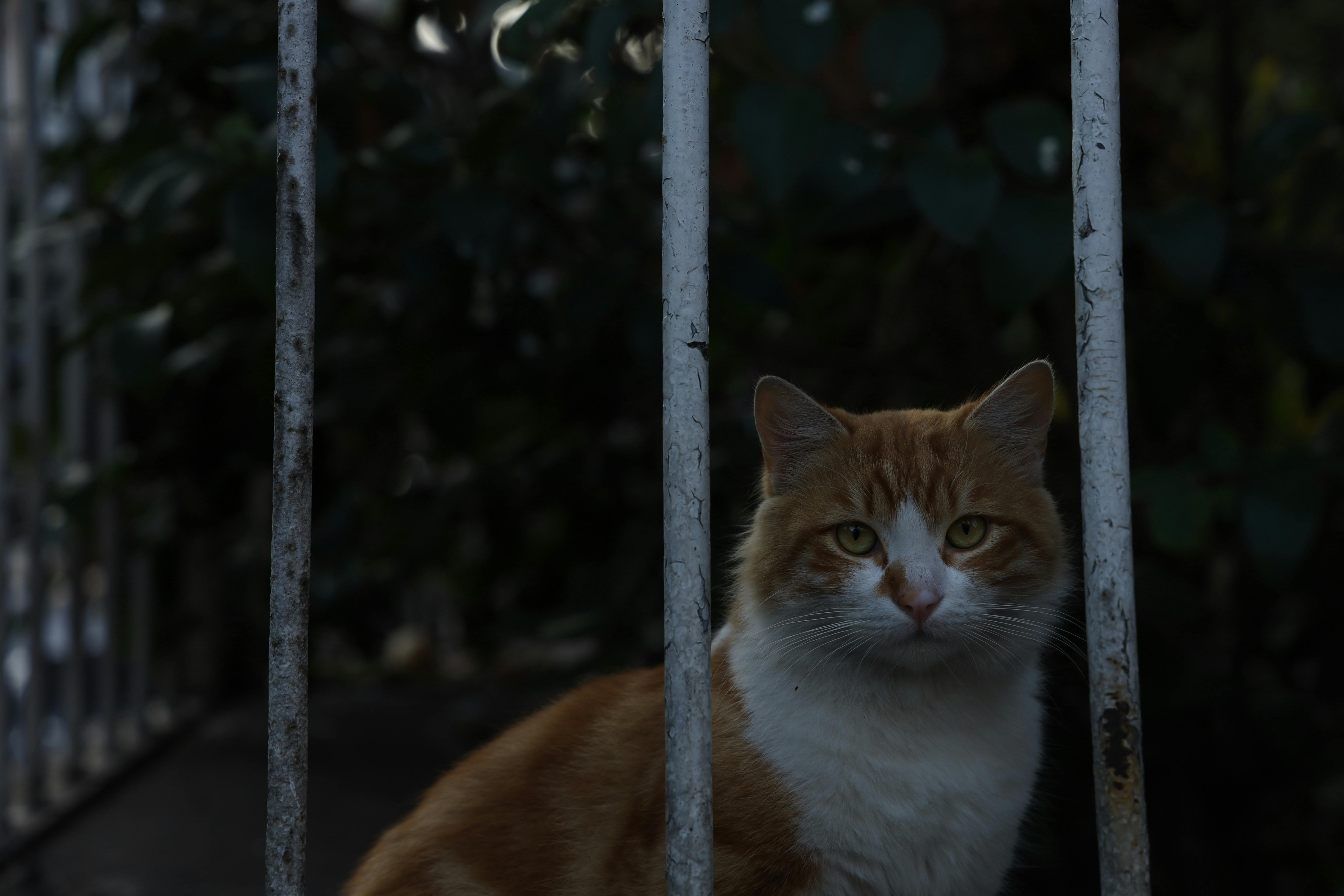 財經：金融壹賬通私有化獲批 拟周五退市引市場關注