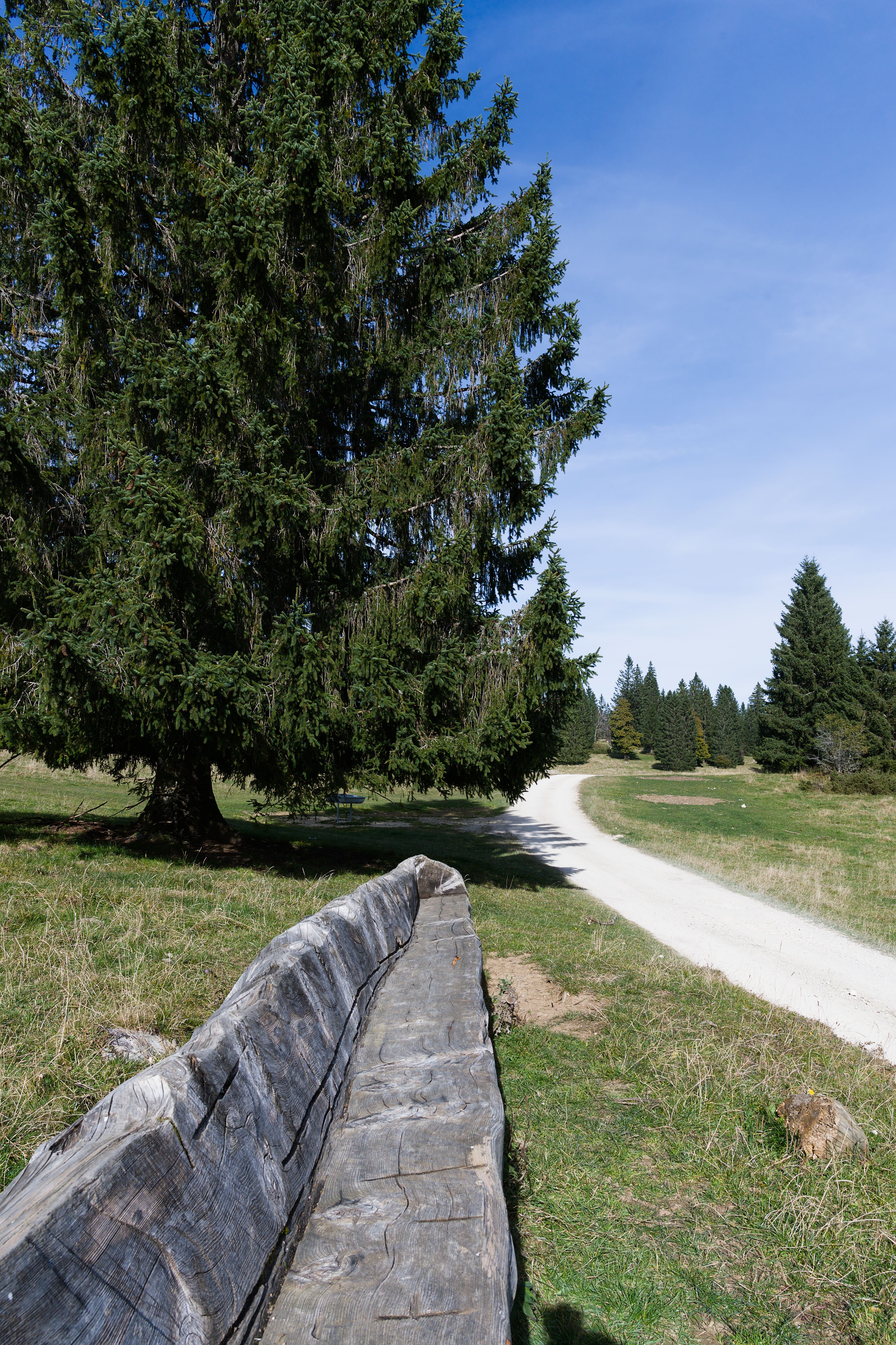 Scenic Swiss Landscape with Rustic Wooden Bench · Free Stock Photo