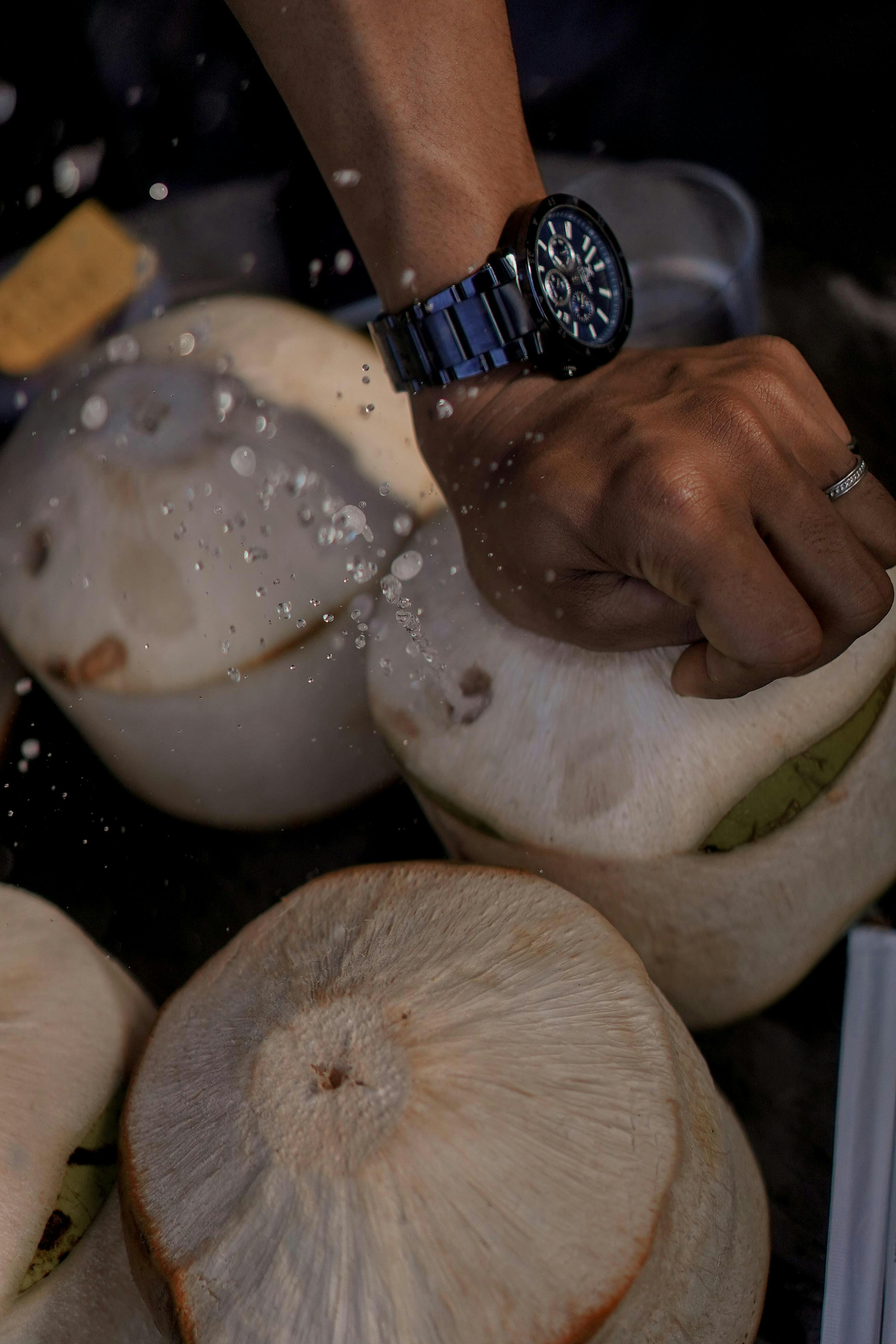 Performance Versatility of the Hamilton Beach 2 Speed Hand Blender