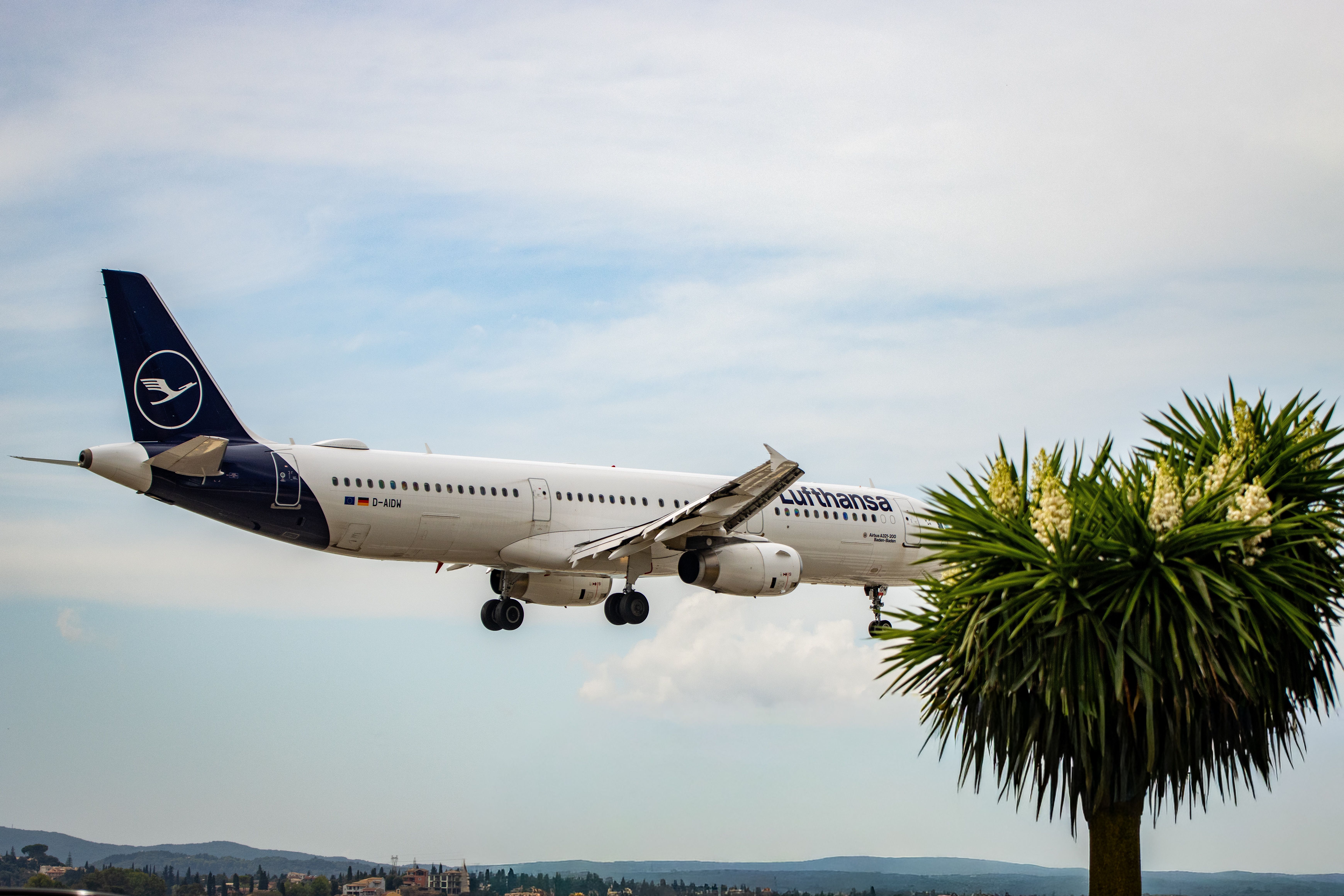 Gratis Lufthansa-fly nærmer sig landing på Korfu, Grækenland med klar himmel og palmer. Lagerfoto